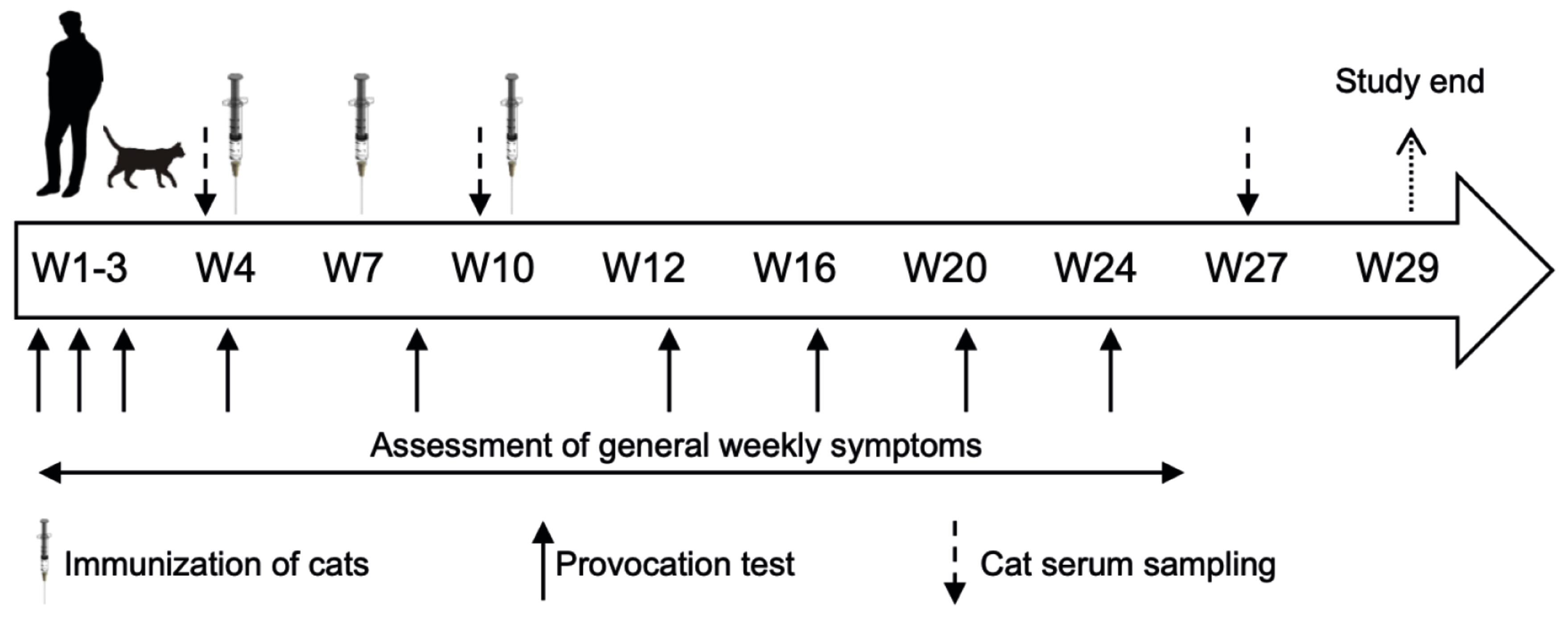 Viruses 12 00288 g001
