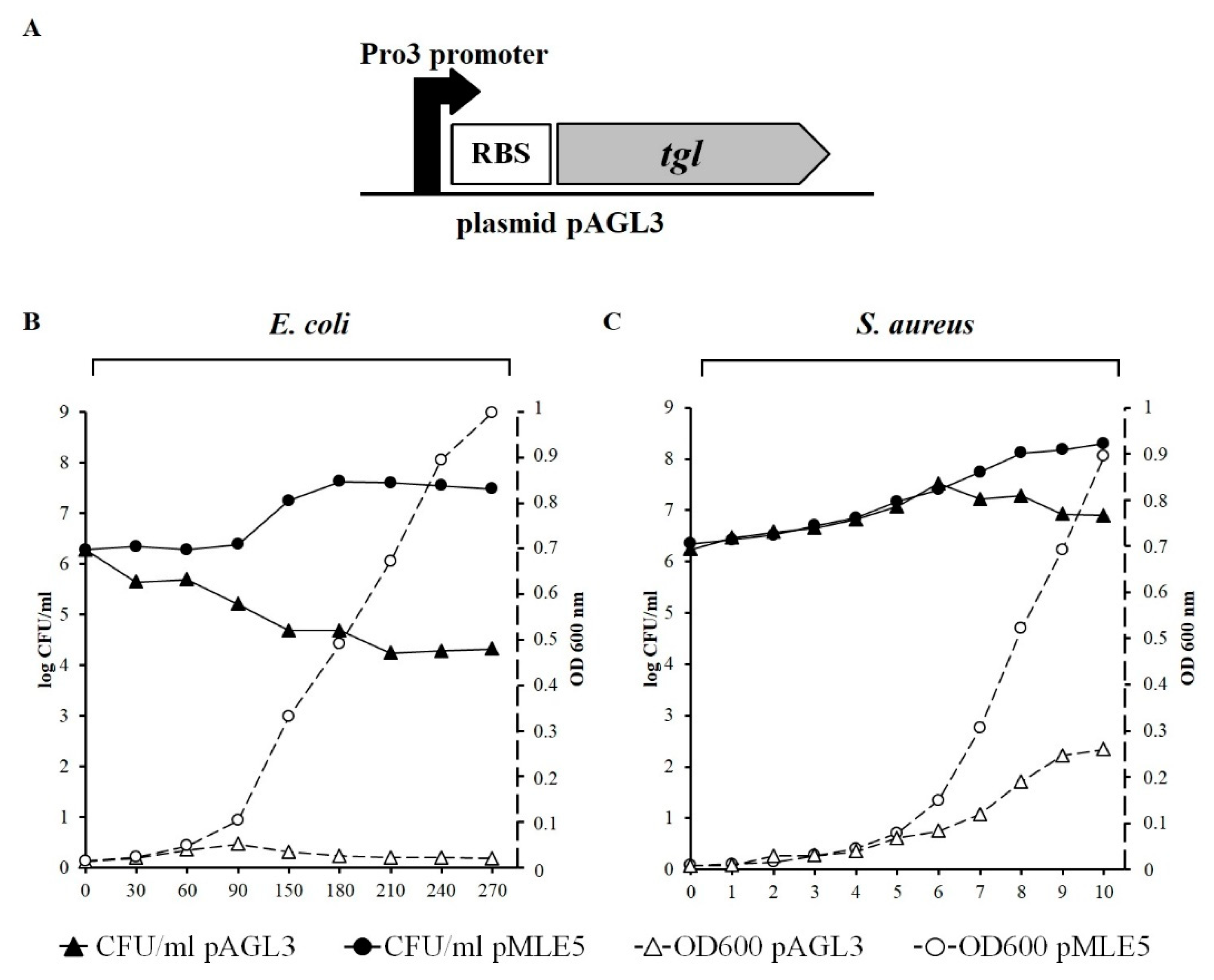 Viruses 12 00292 g003