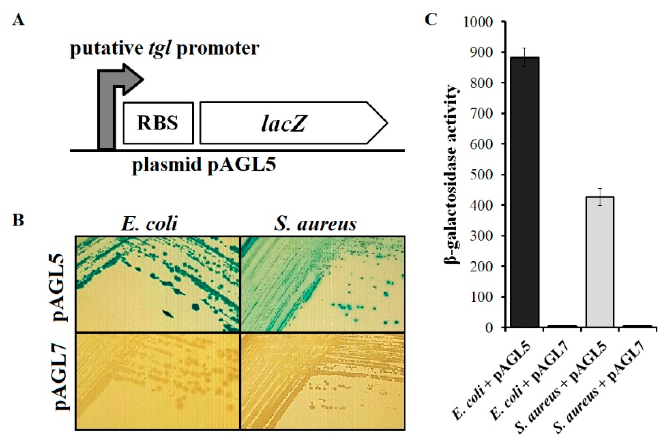 Viruses 12 00292 g006