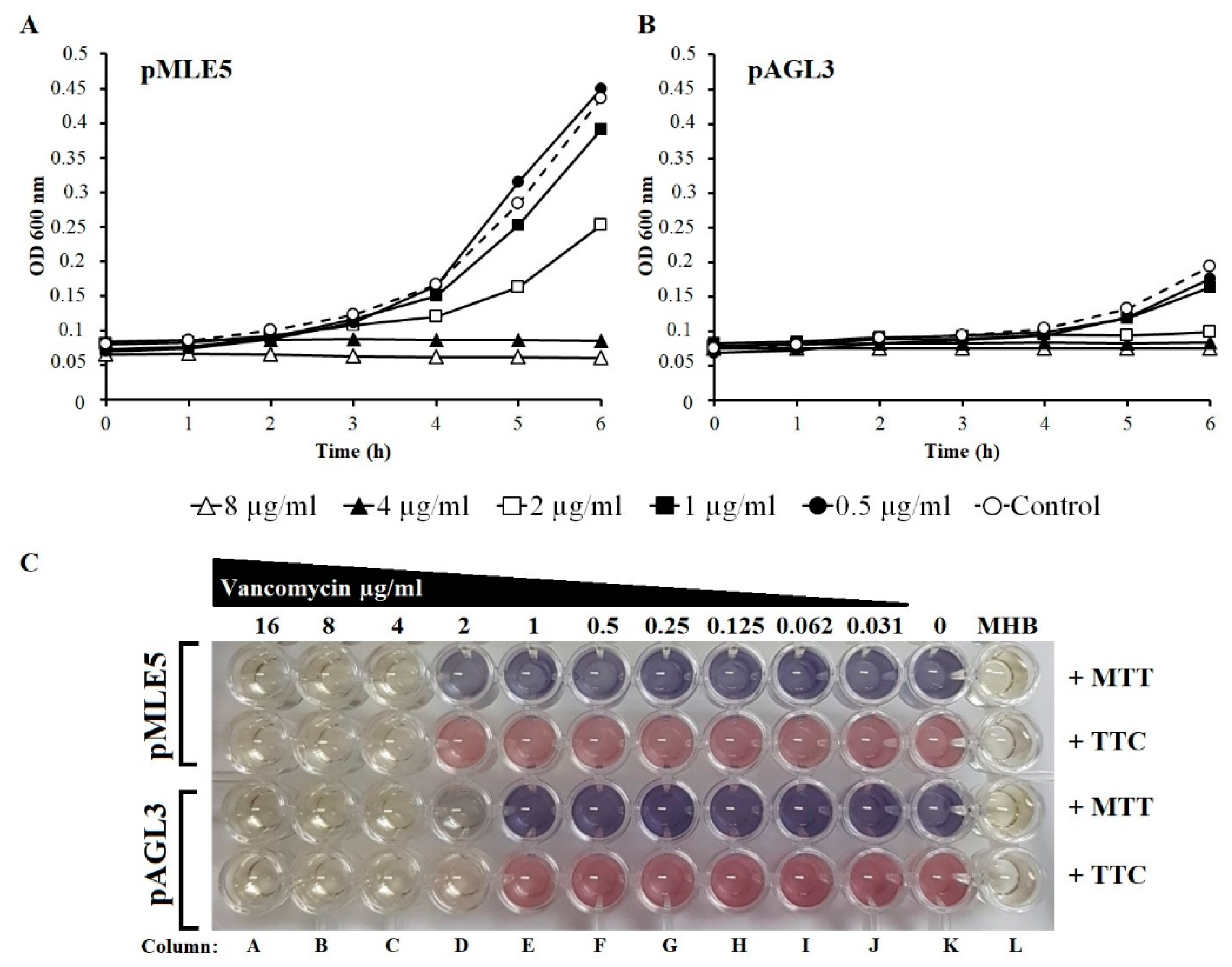 Viruses 12 00292 g007