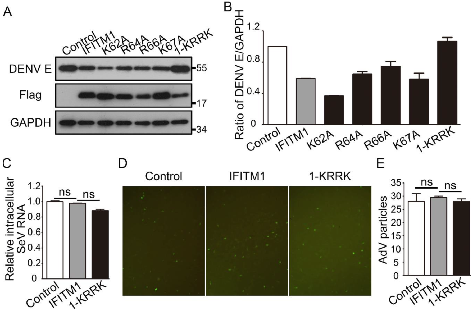Viruses 12 00295 g004 Viruses 12 00295 g004