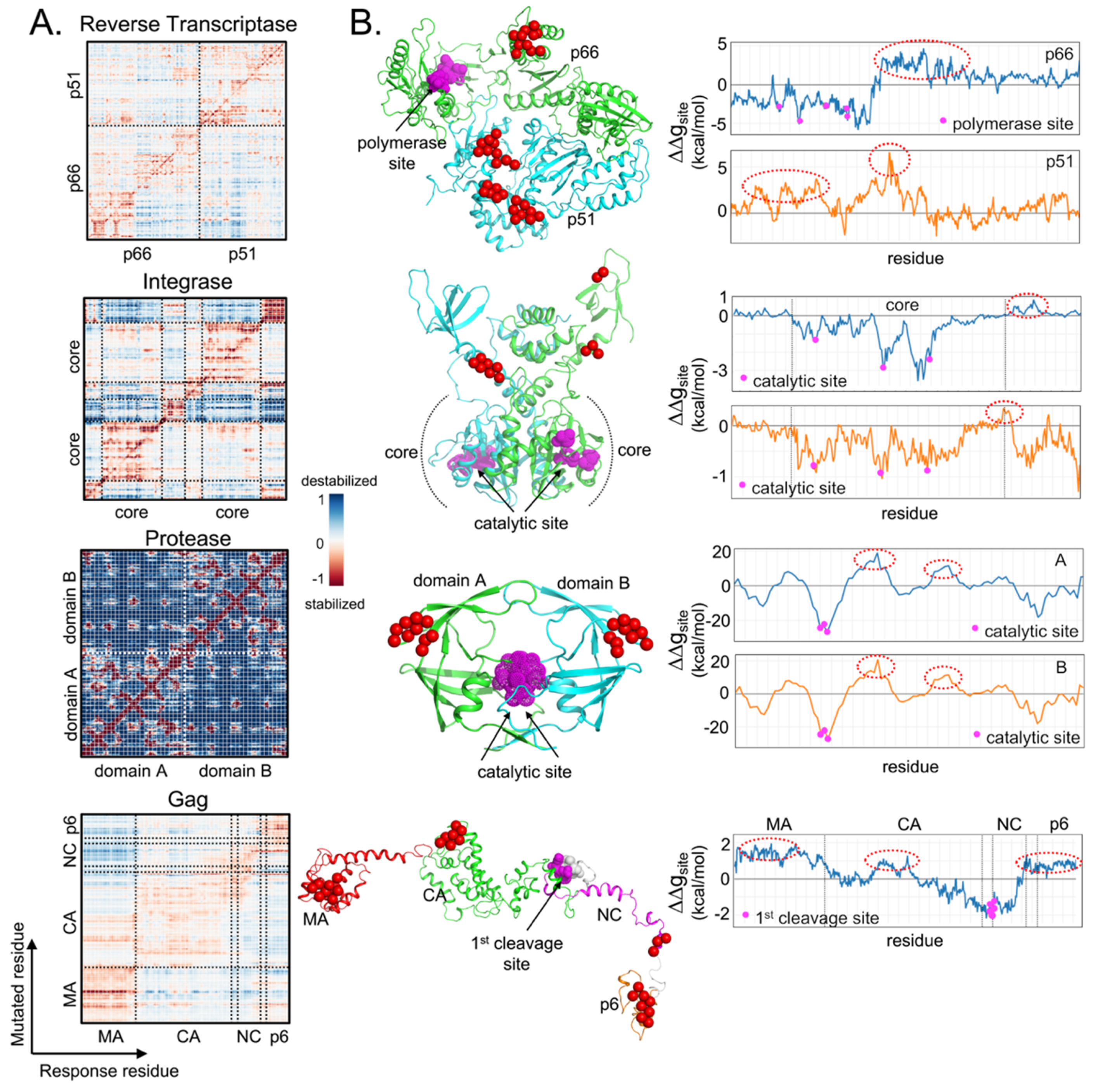 Viruses 12 00297 g002