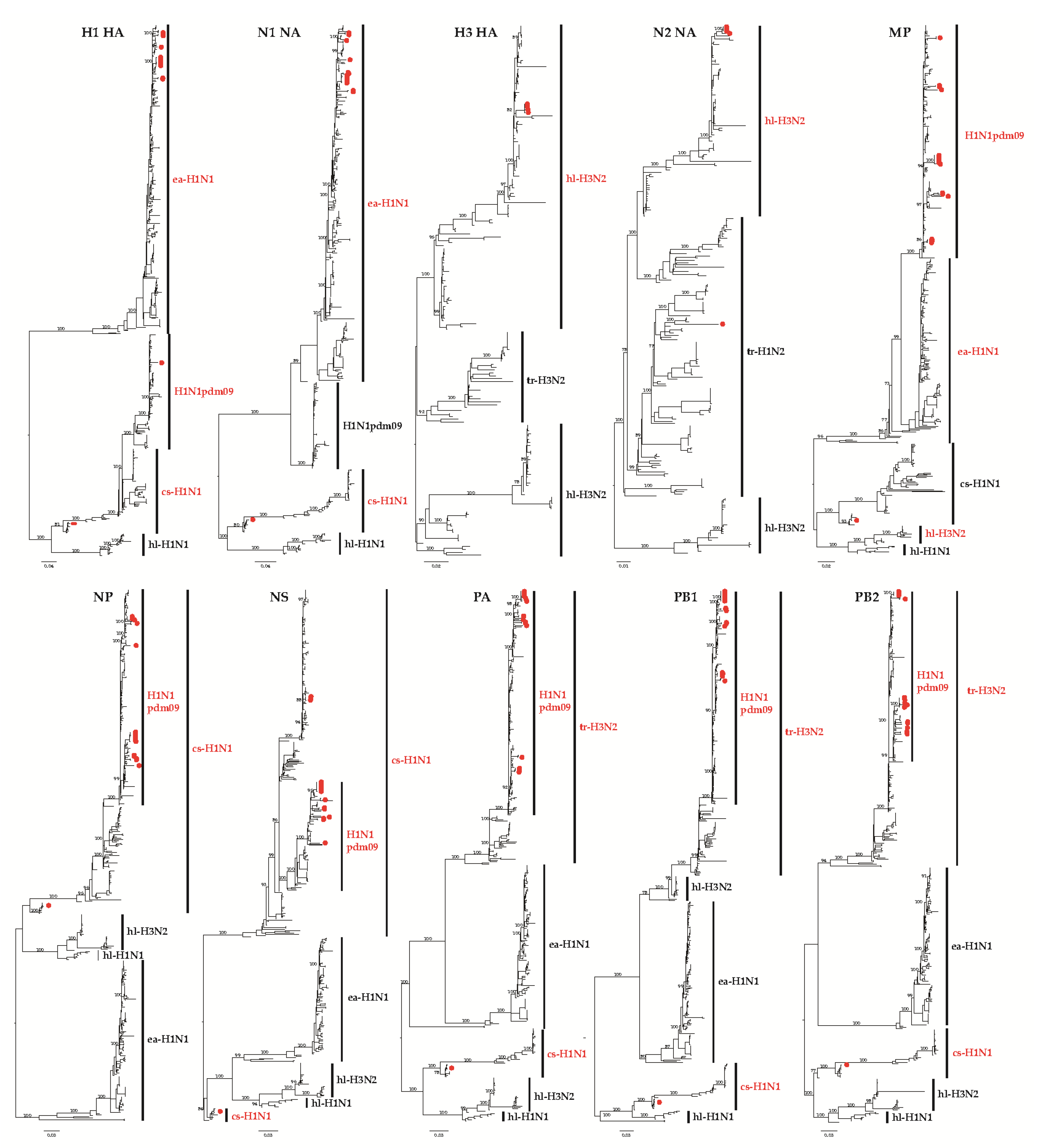 Viruses 12 00298 g001 Viruses 12 00298 g001
