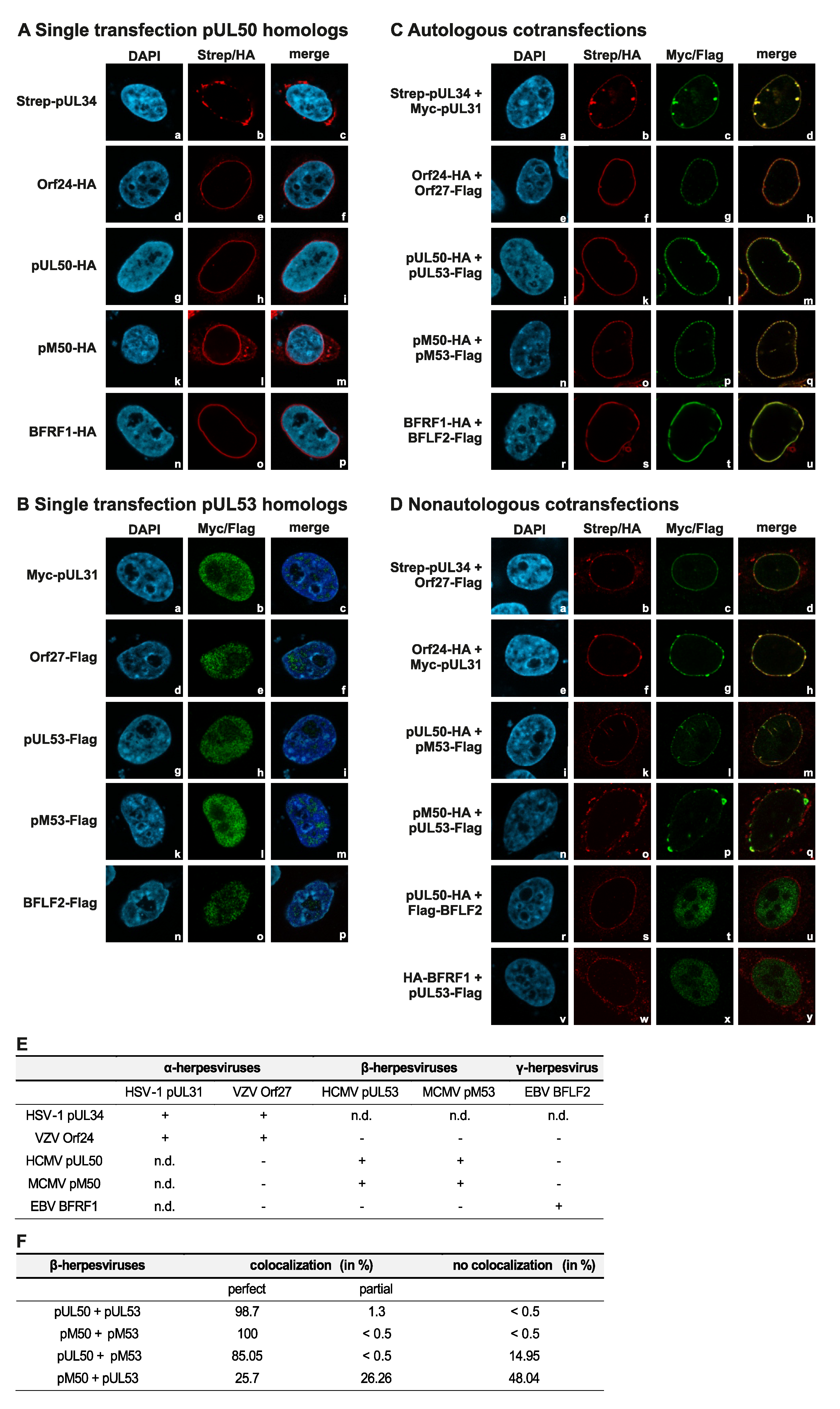 Viruses 12 00303 g004 Viruses 12 00303 g004