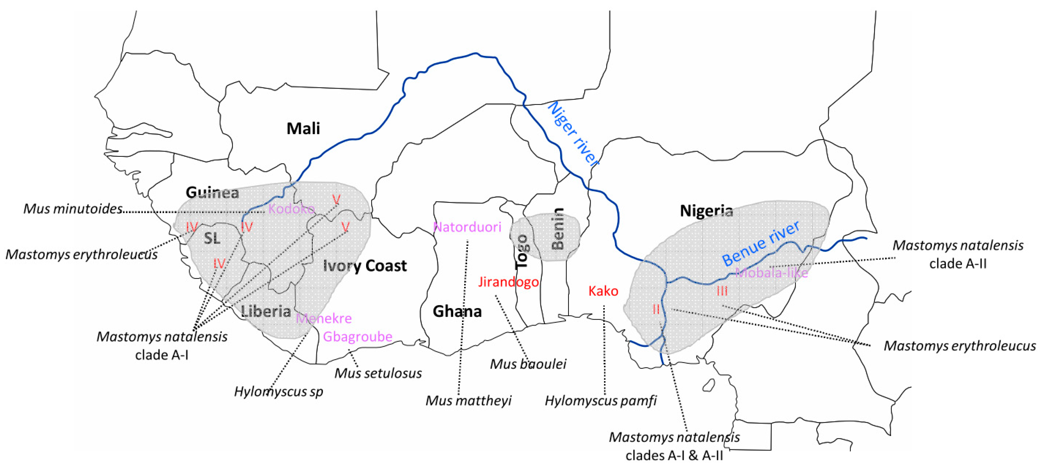Viruses 12 00312 g001 Viruses 12 00312 g001