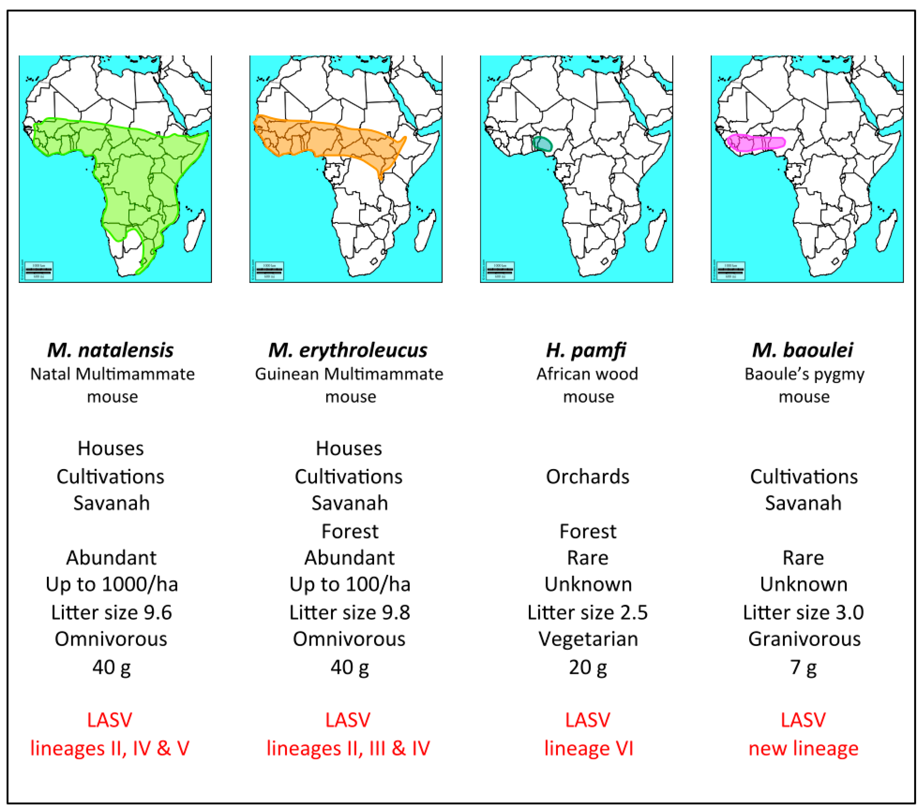 Viruses 12 00312 g002 Viruses 12 00312 g002