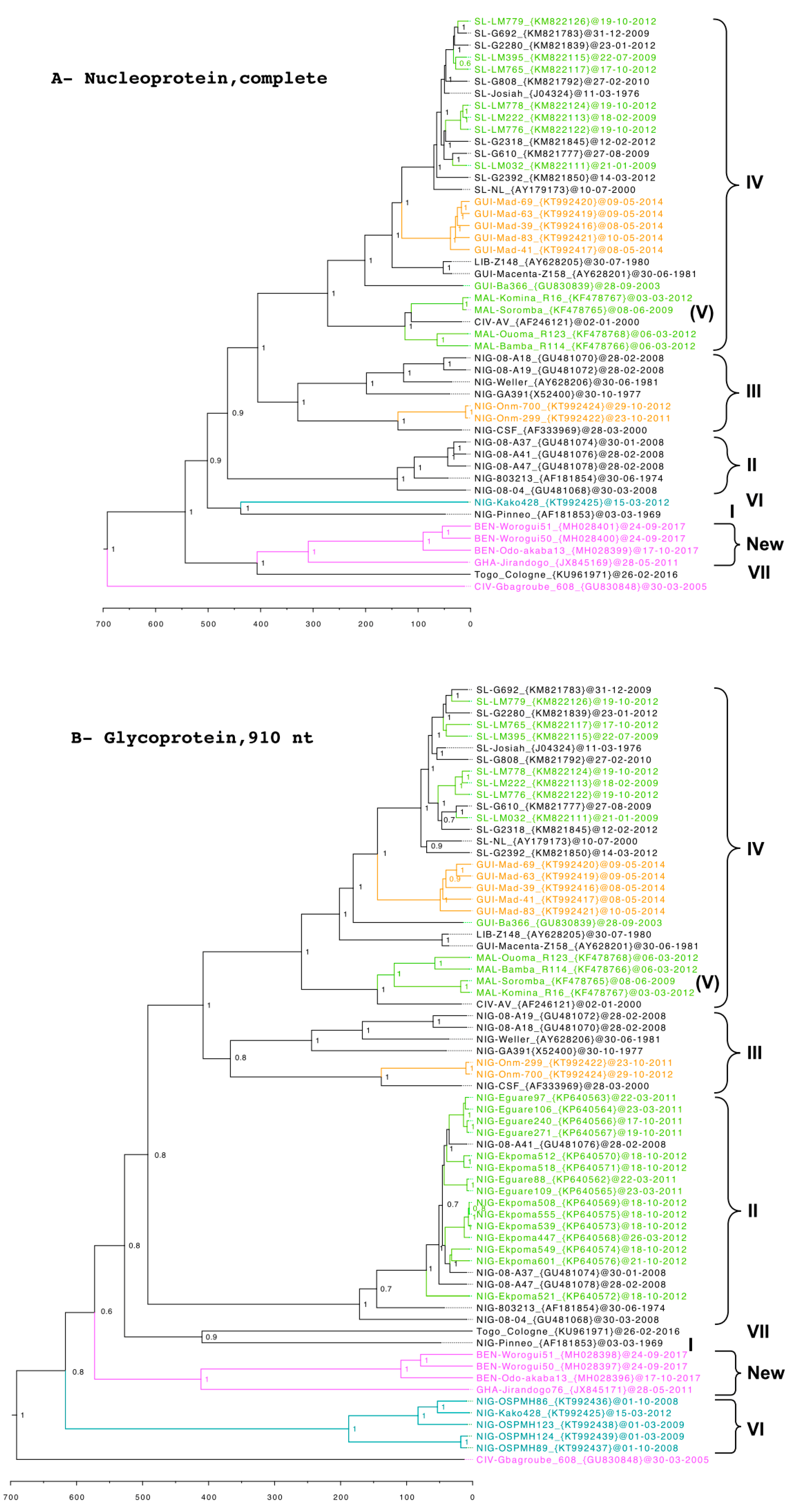 Viruses 12 00312 g003 Viruses 12 00312 g003
