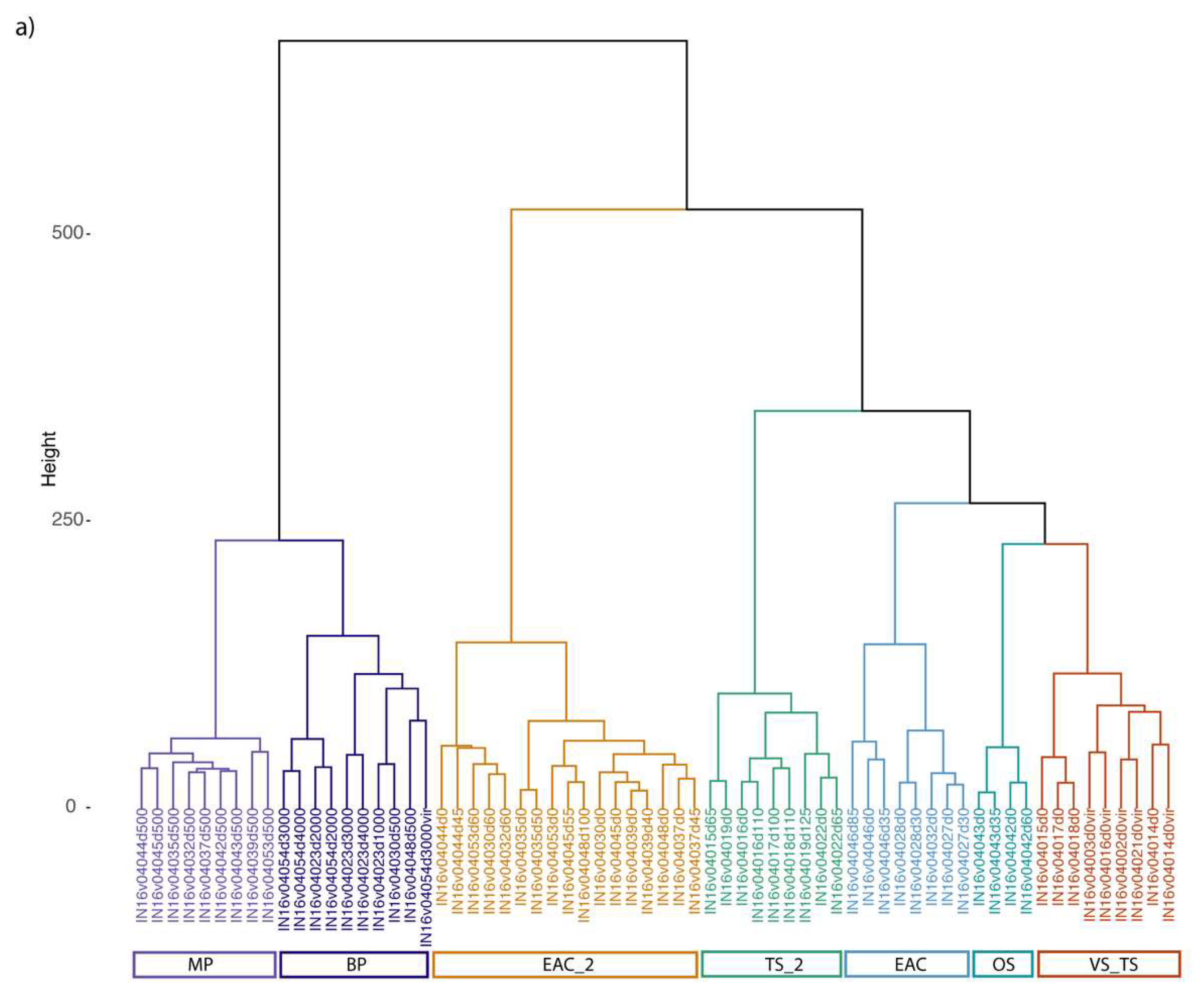 Viruses 12 00317 g003a