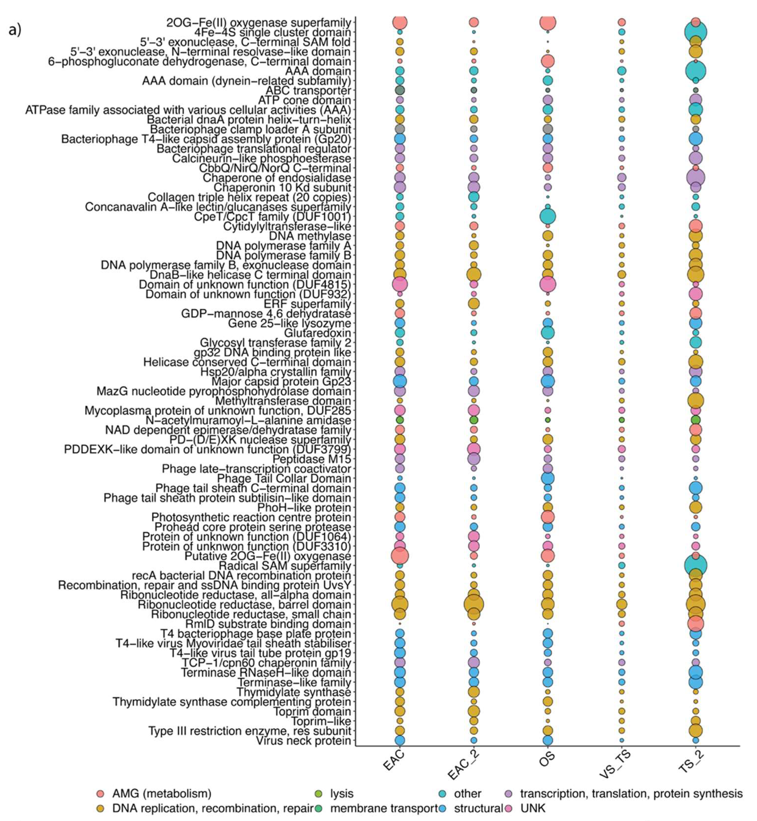 Viruses 12 00317 g006a