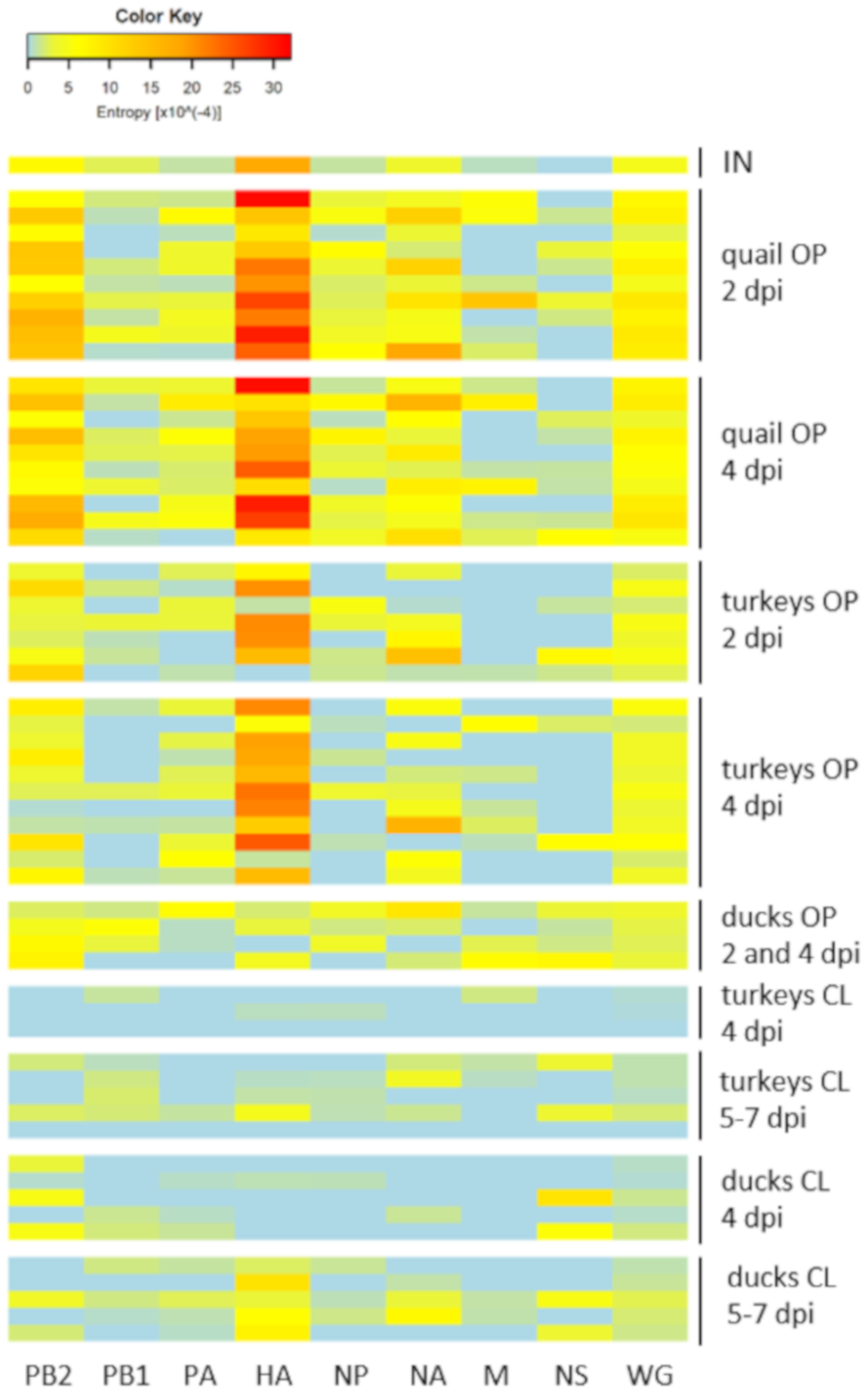 Viruses 12 00319 g003