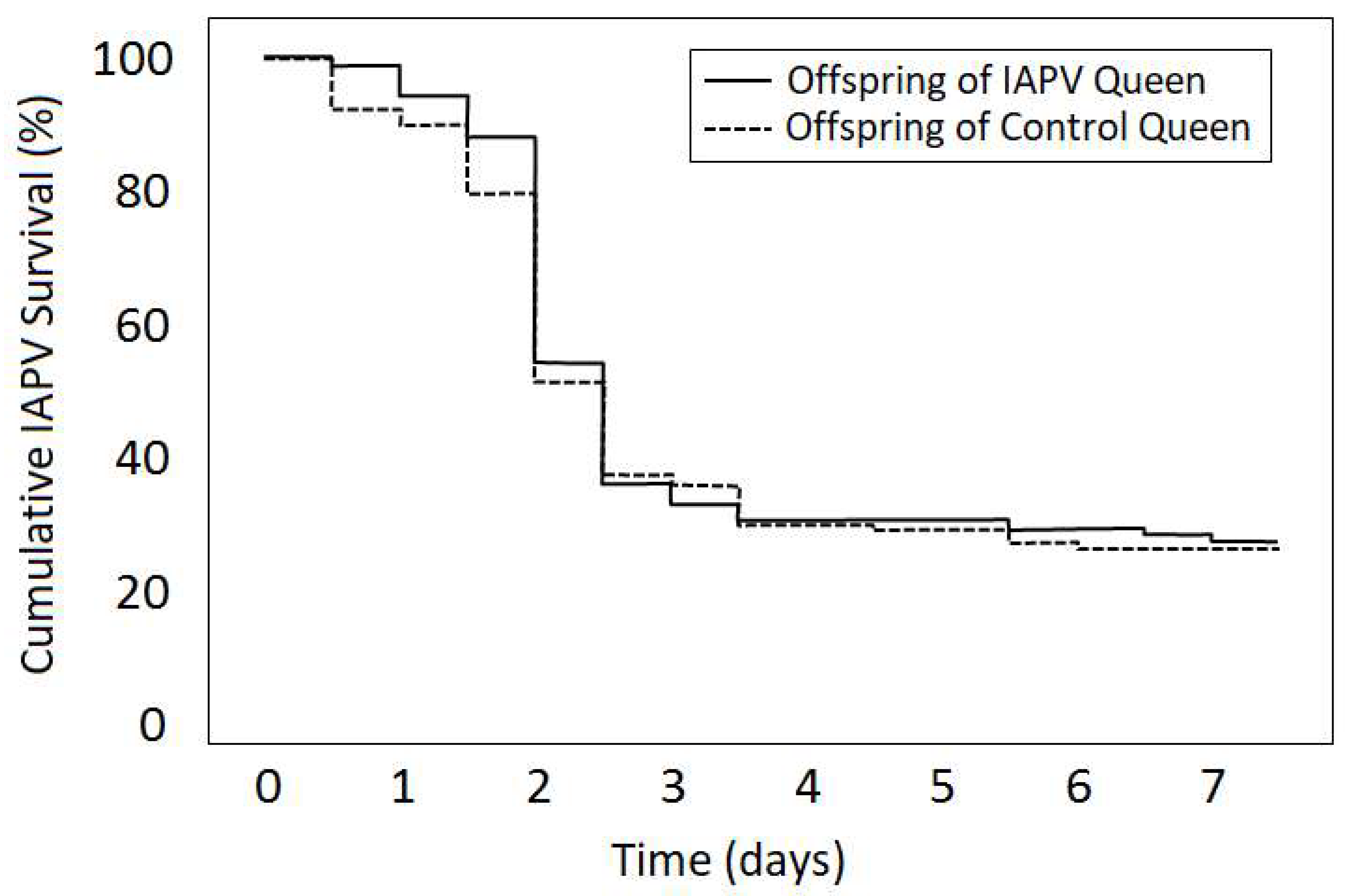 Viruses 12 00322 g002 Viruses 12 00322 g002