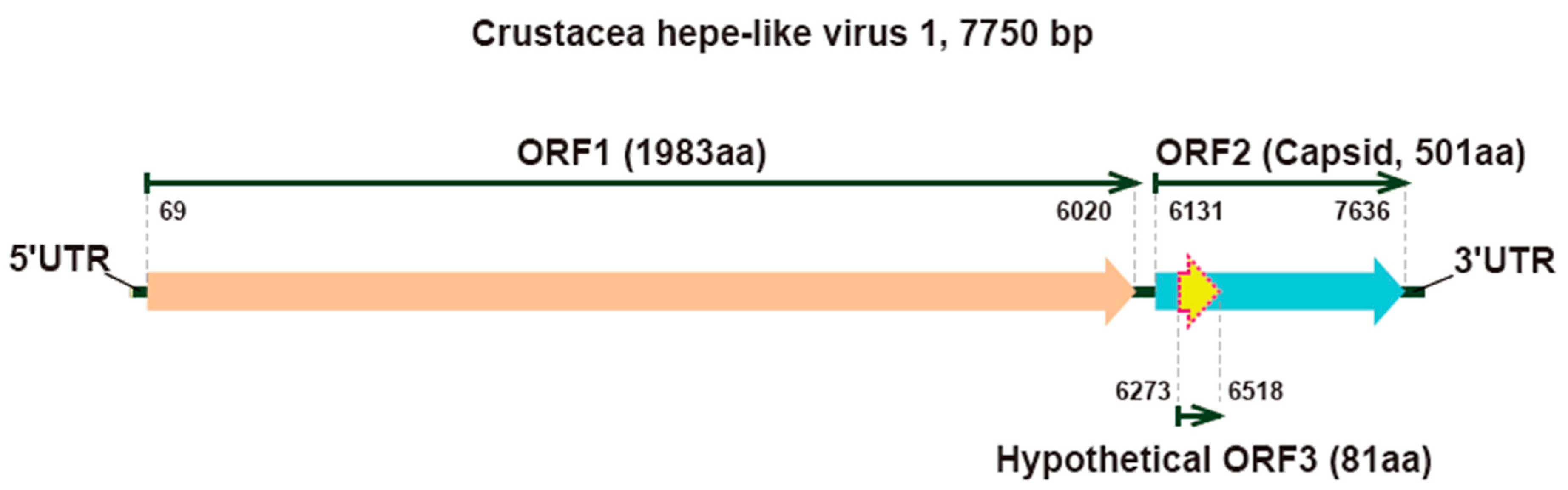 Viruses 12 00323 g001 Viruses 12 00323 g001
