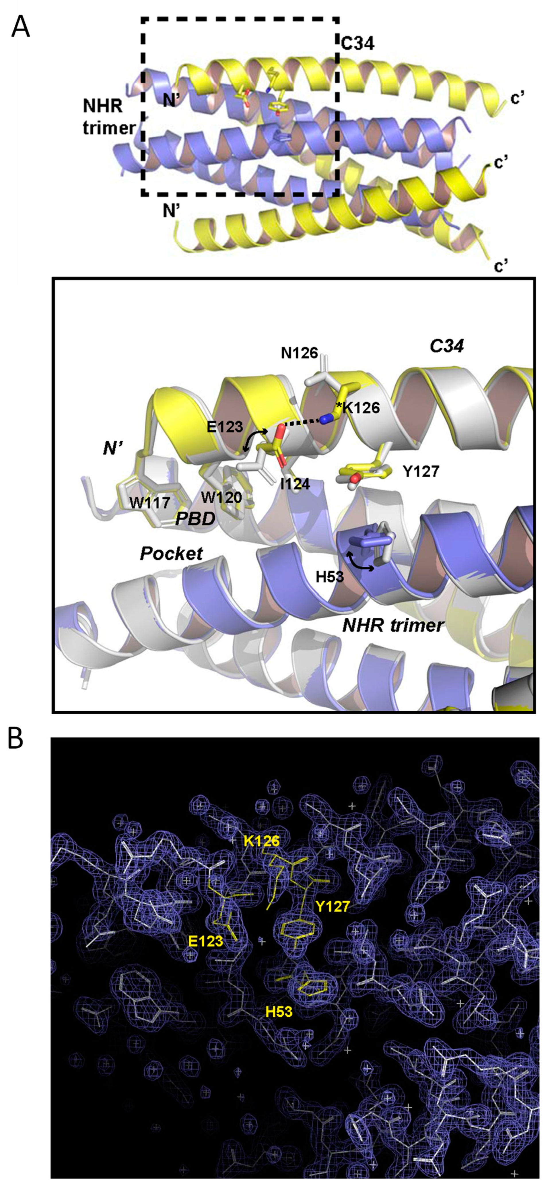 Viruses 12 00326 g009 Viruses 12 00326 g009