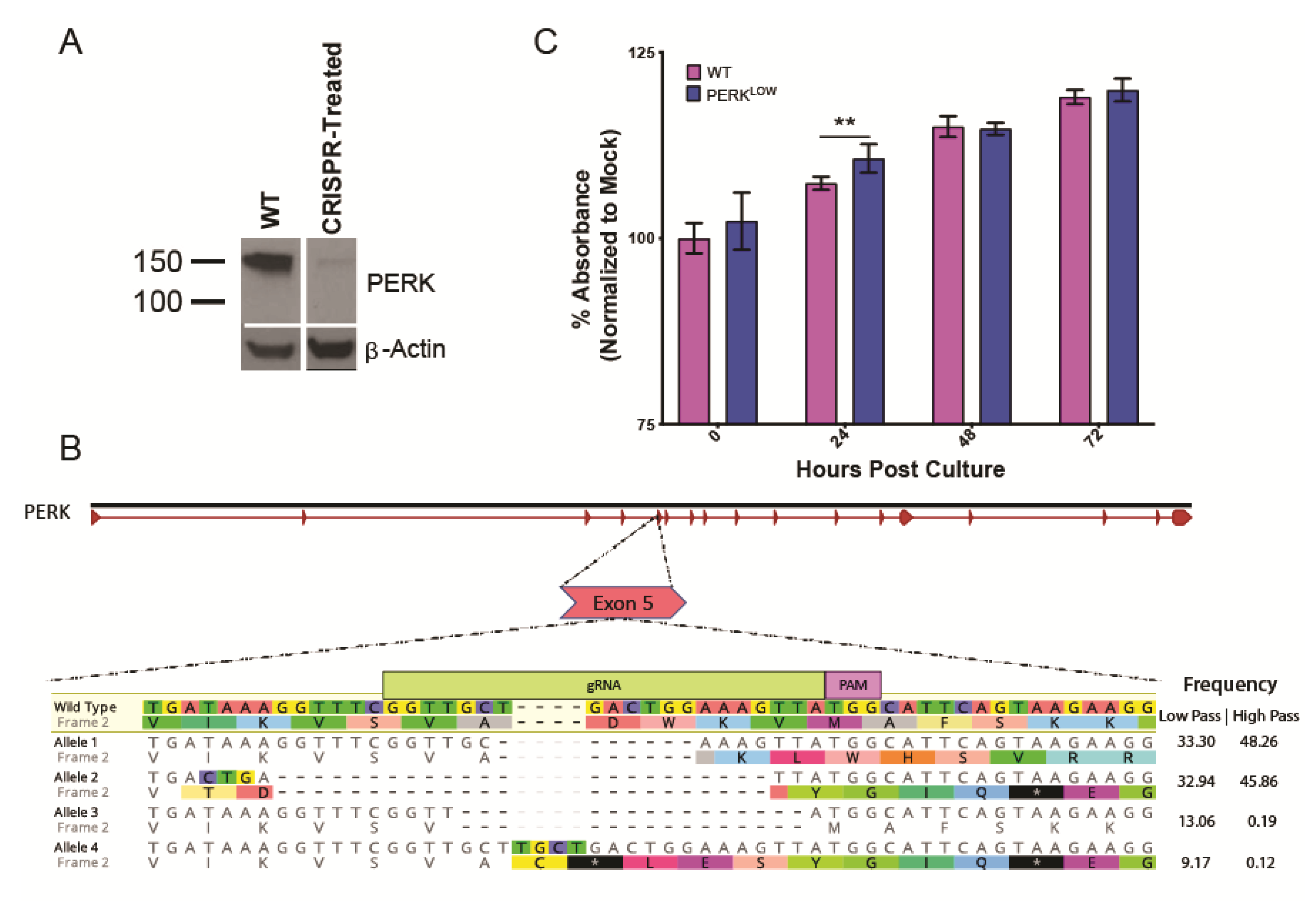 Viruses 12 00328 g002 Viruses 12 00328 g002