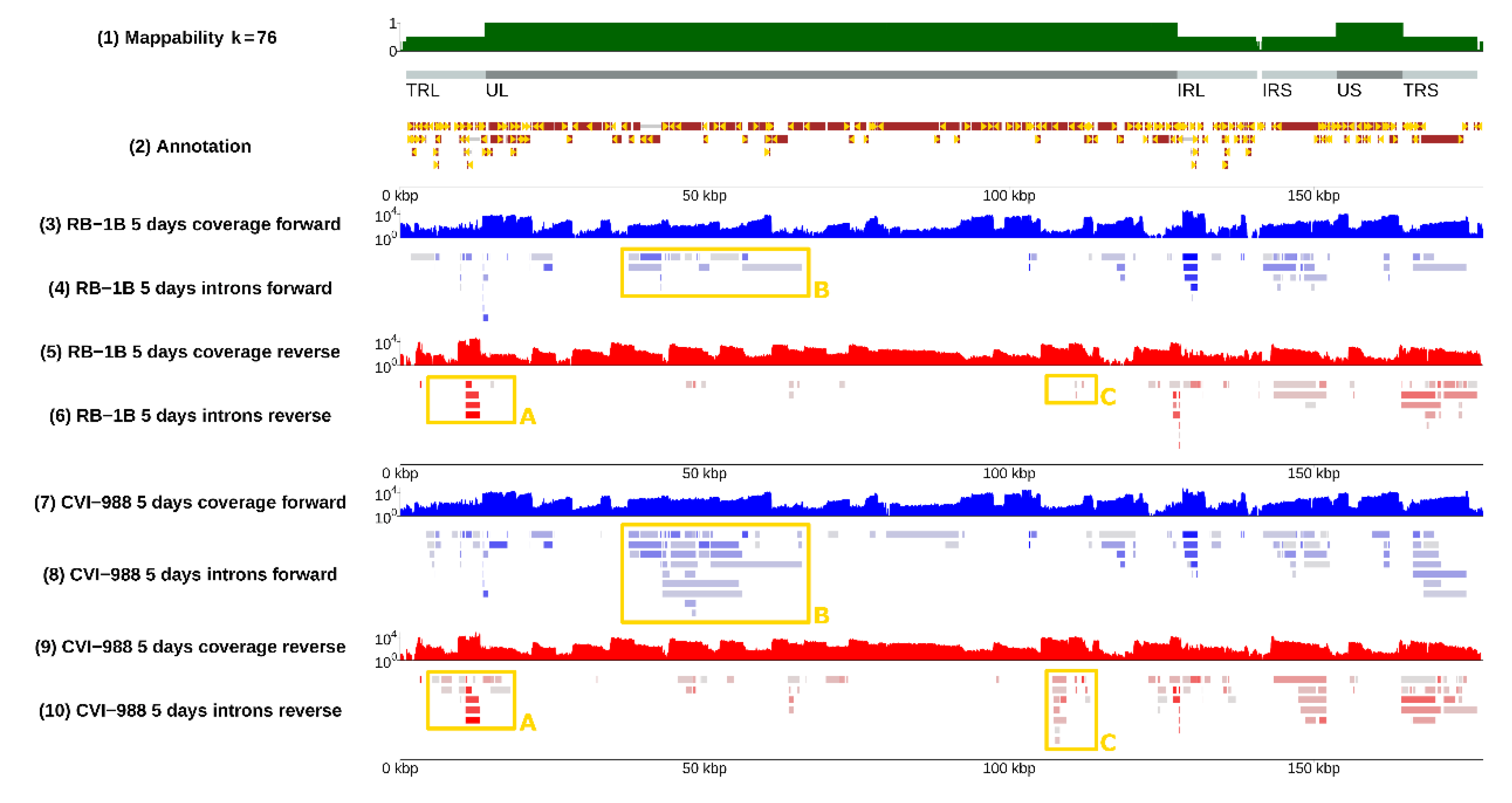 Viruses Free Full Text Pervasive Differential Splicing In