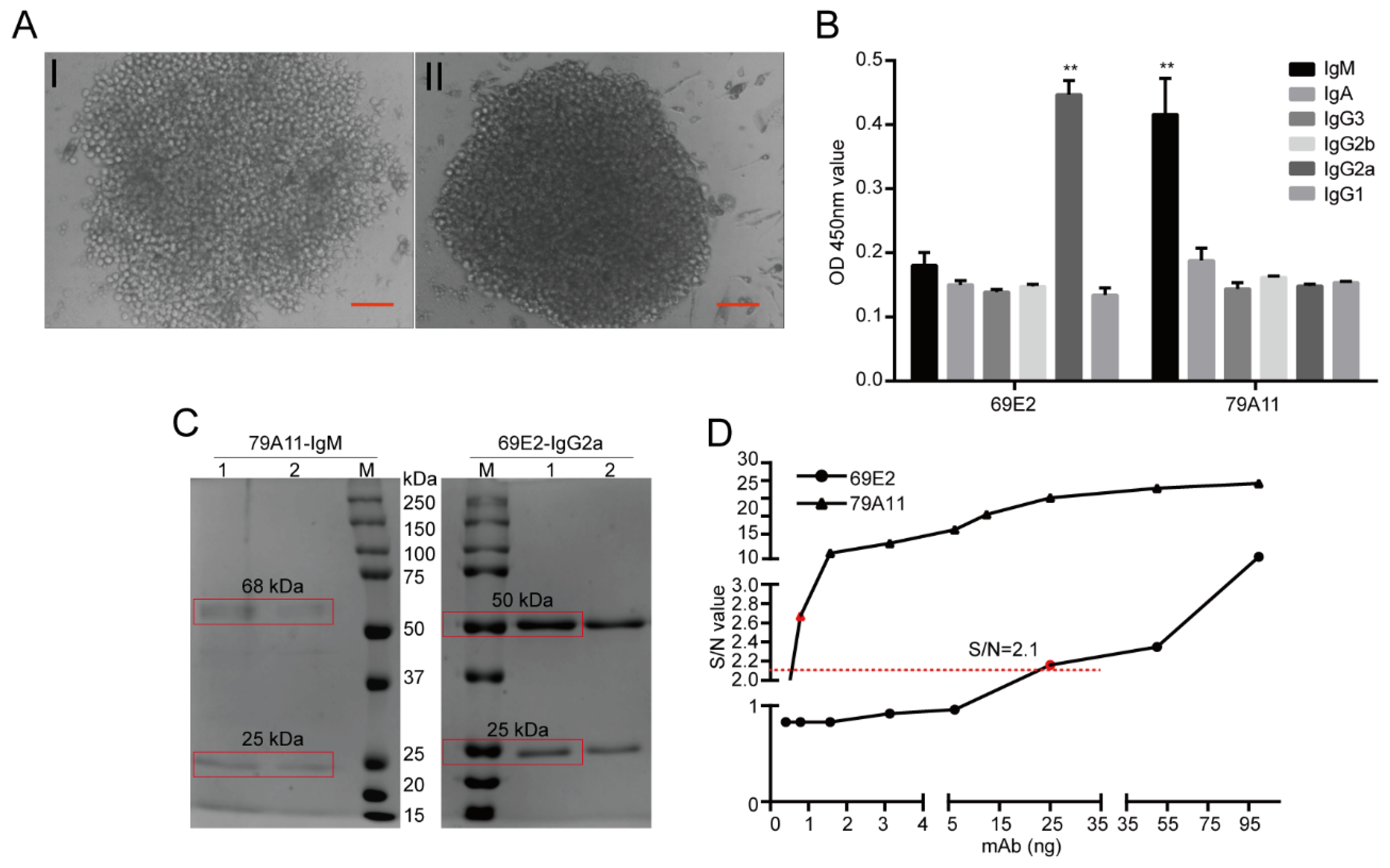 Viruses 12 00333 g002