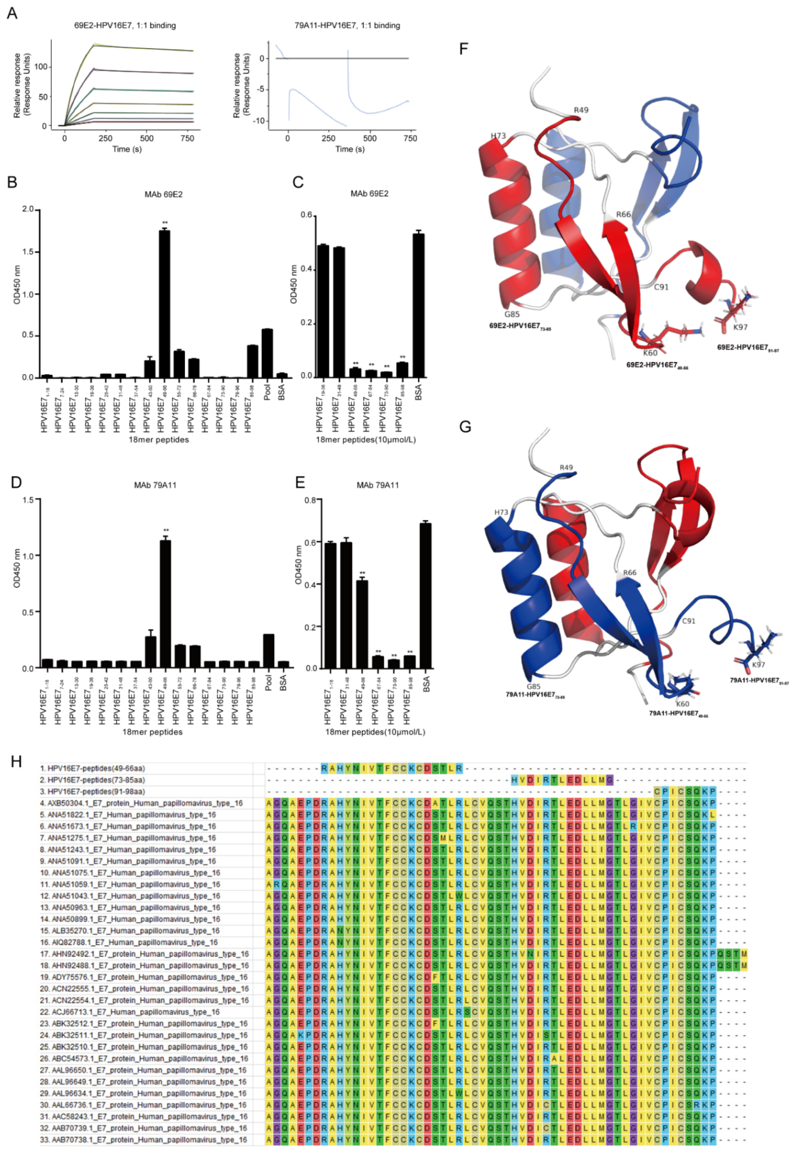 Viruses 12 00333 g003