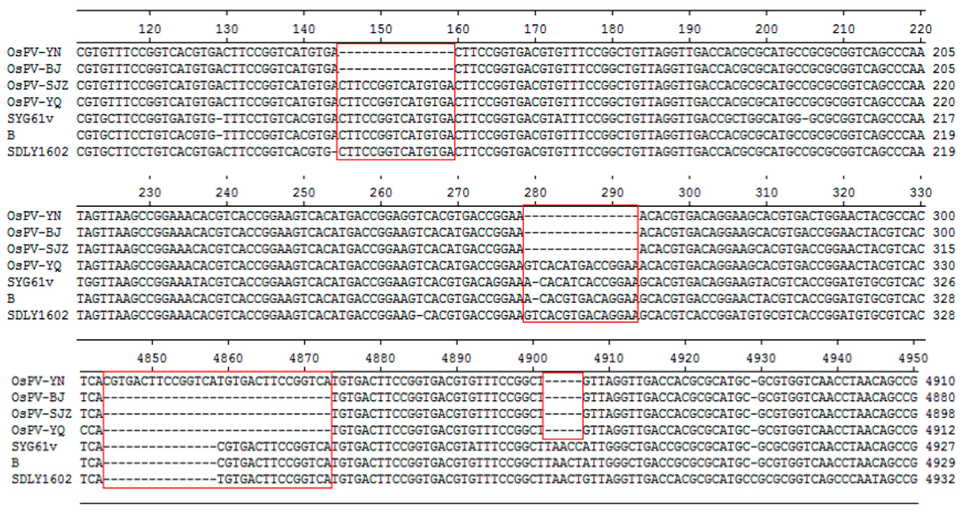 Viruses 12 00334 g001