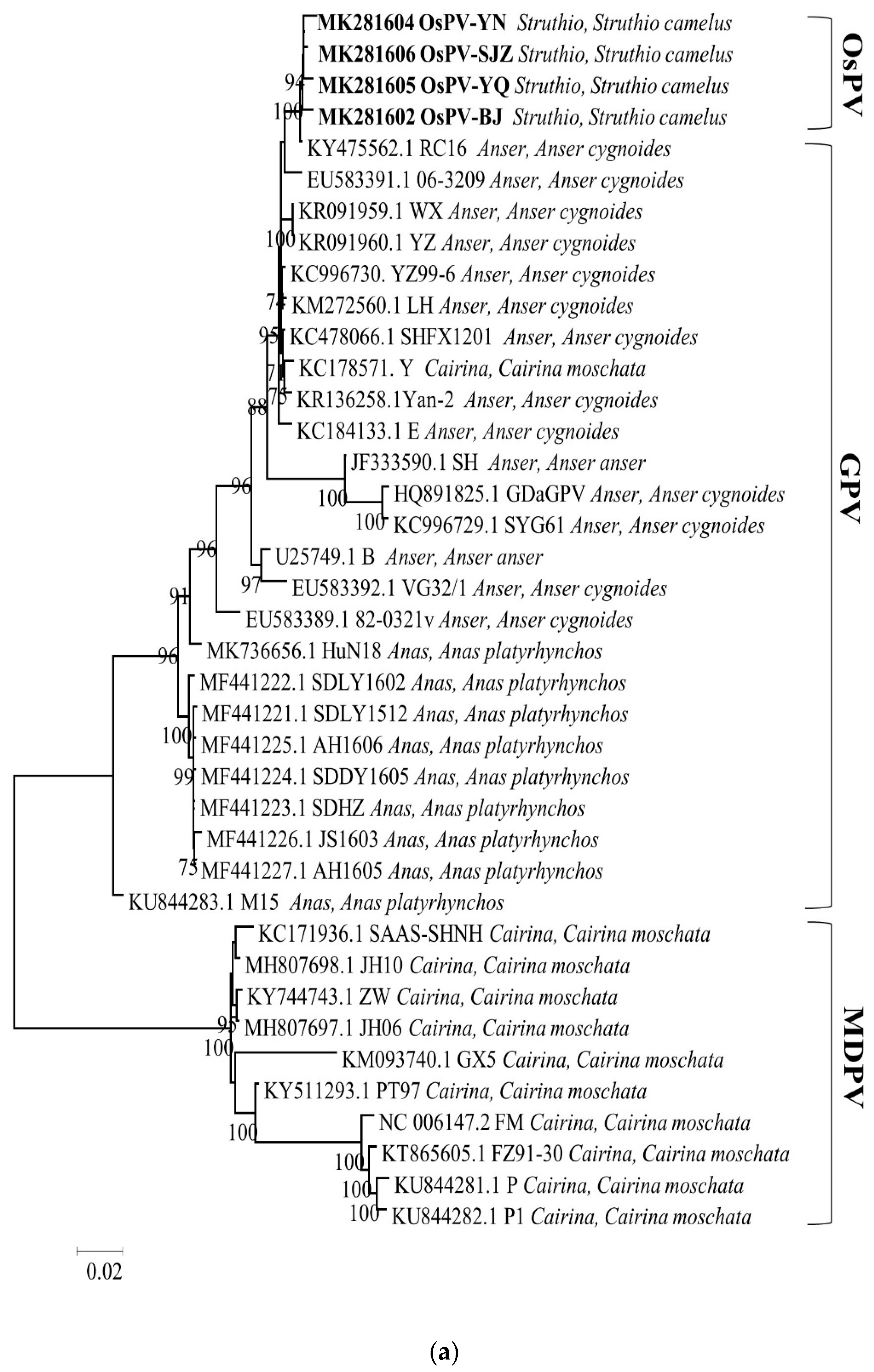 Viruses 12 00334 g002a