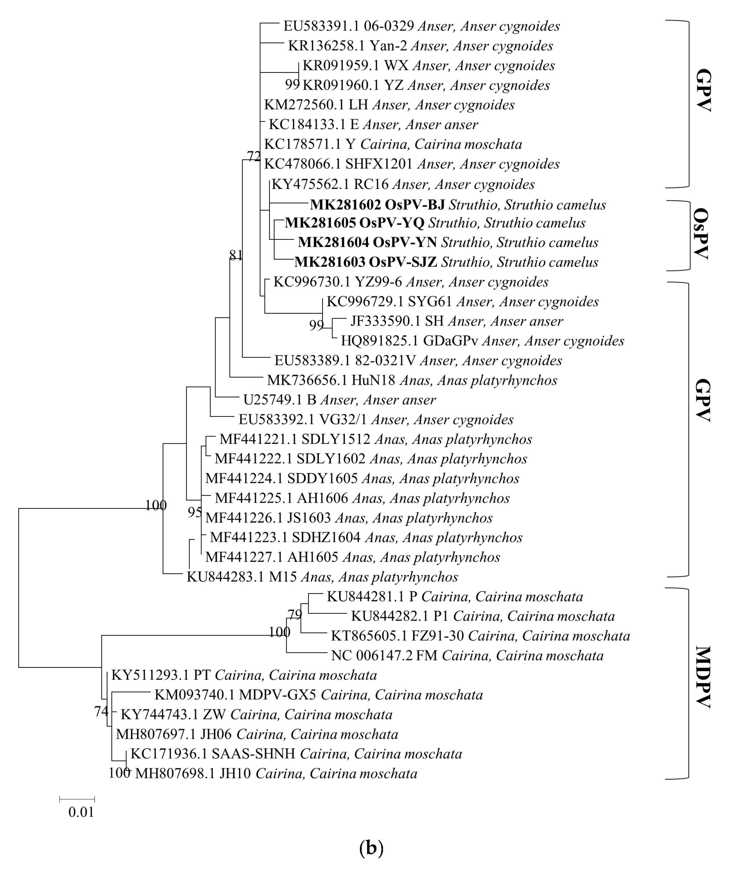 Viruses 12 00334 g002b