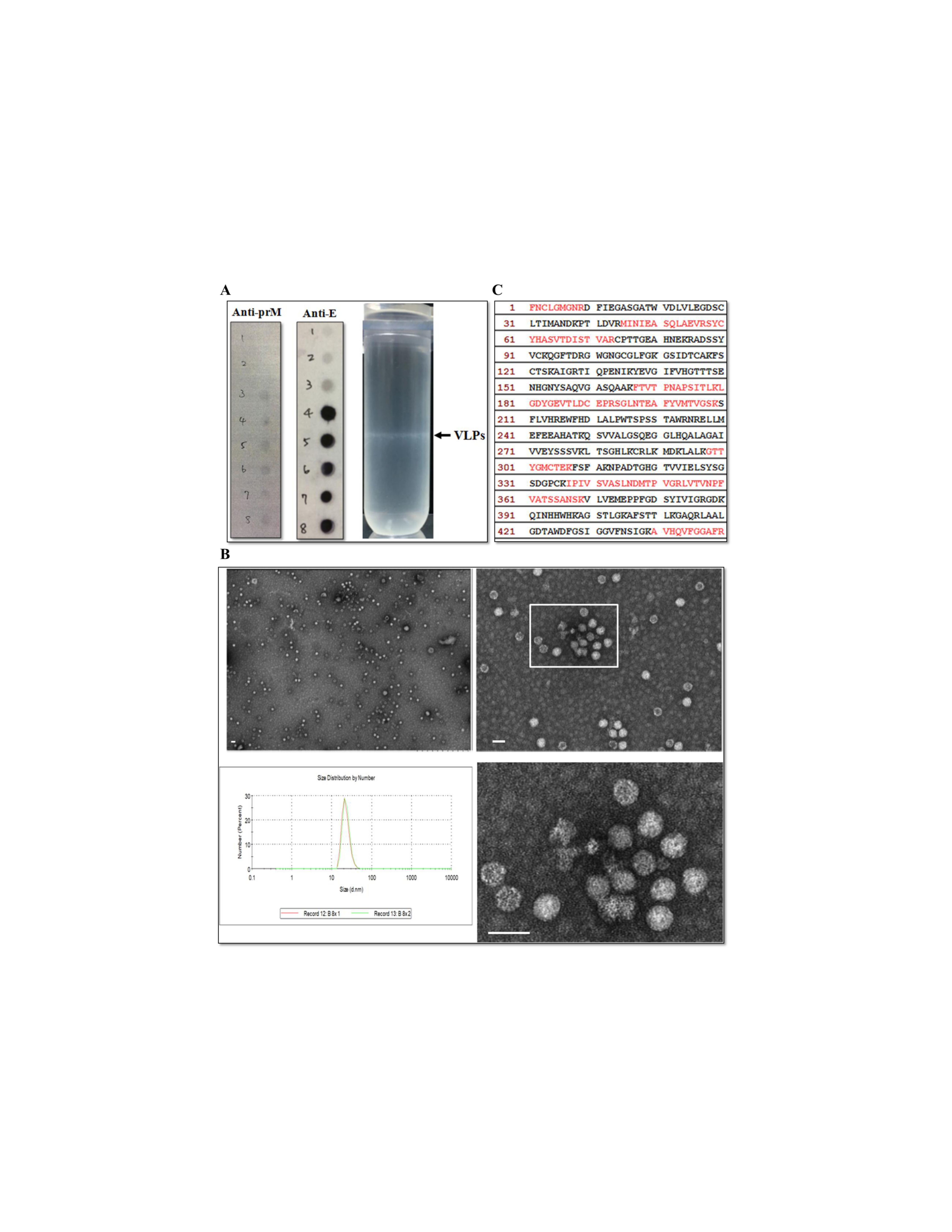 Viruses 12 00336 g004 Viruses 12 00336 g004