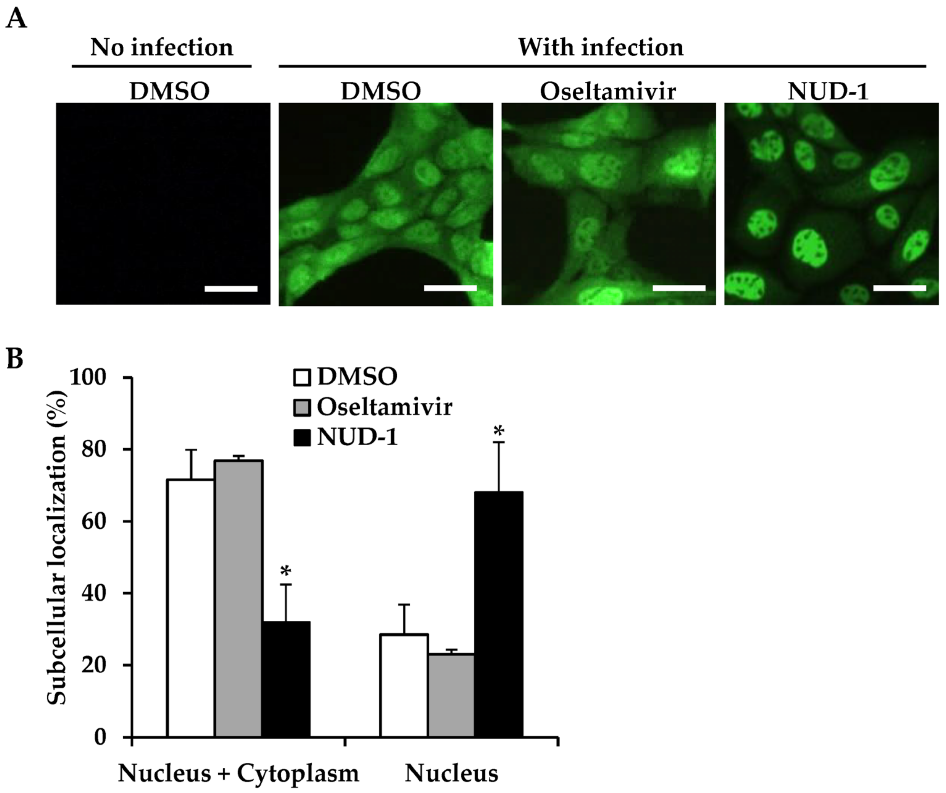 Viruses 12 00337 g004