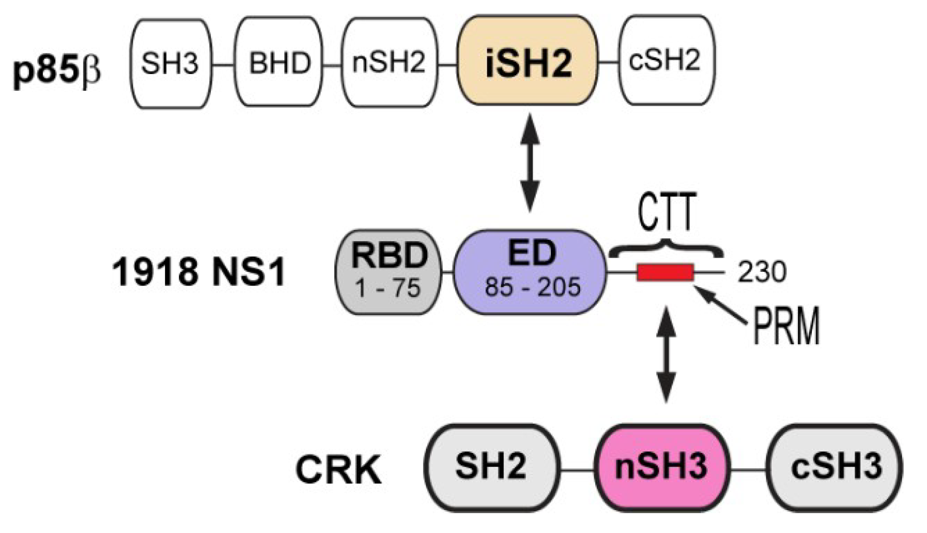 Viruses 12 00338 g001 Viruses 12 00338 g001