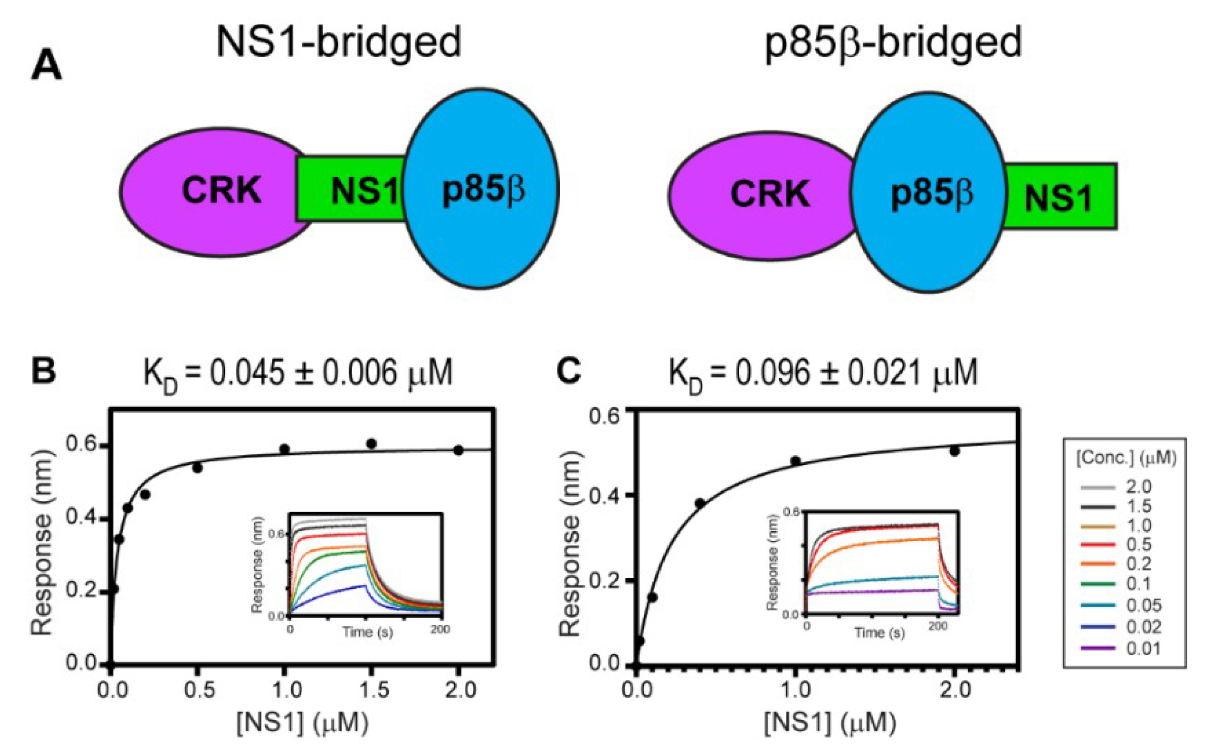 Viruses 12 00338 g004 Viruses 12 00338 g004