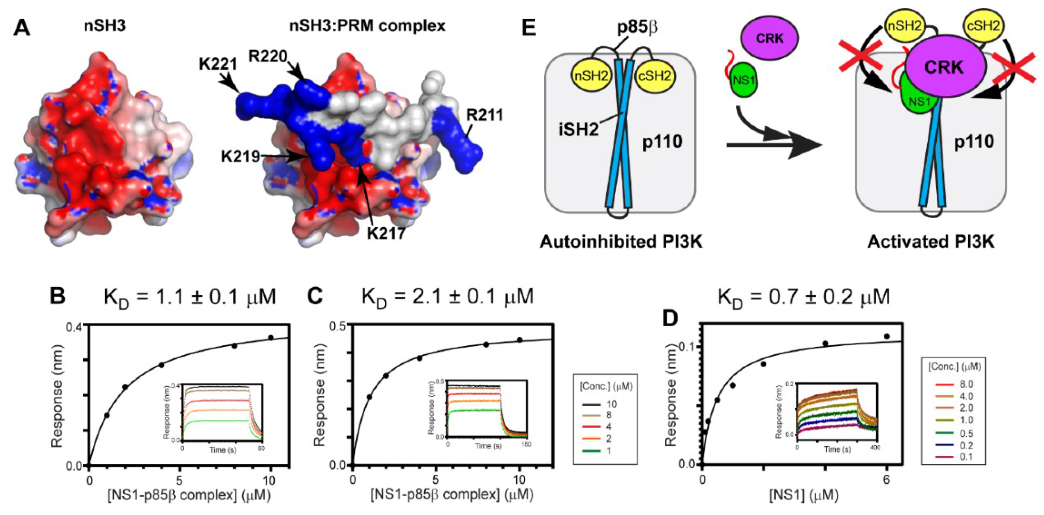 Viruses 12 00338 g006 Viruses 12 00338 g006