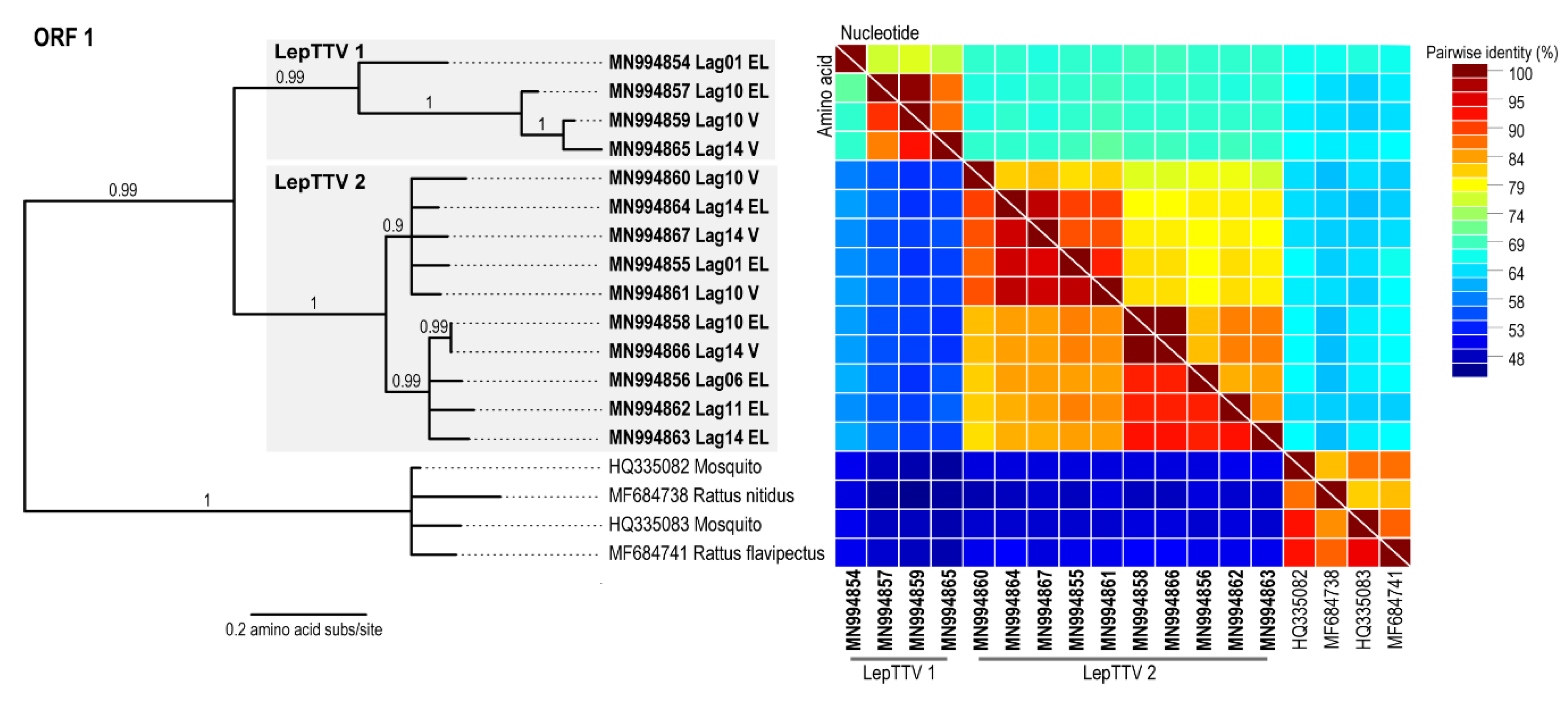 Viruses 12 00340 g002 Viruses 12 00340 g002