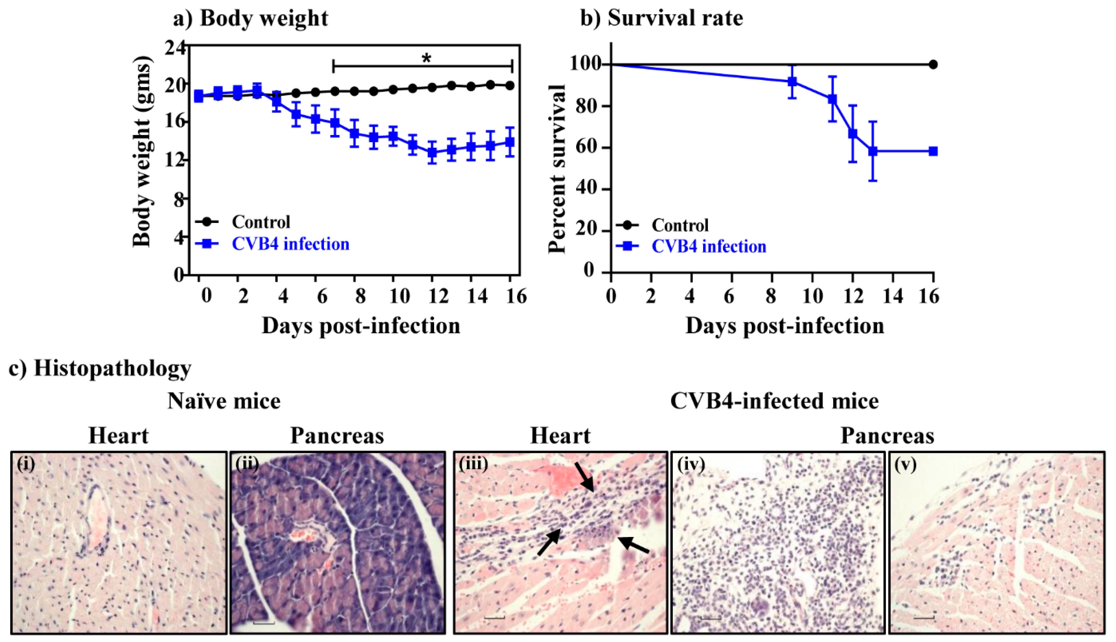 Viruses 12 00347 g005