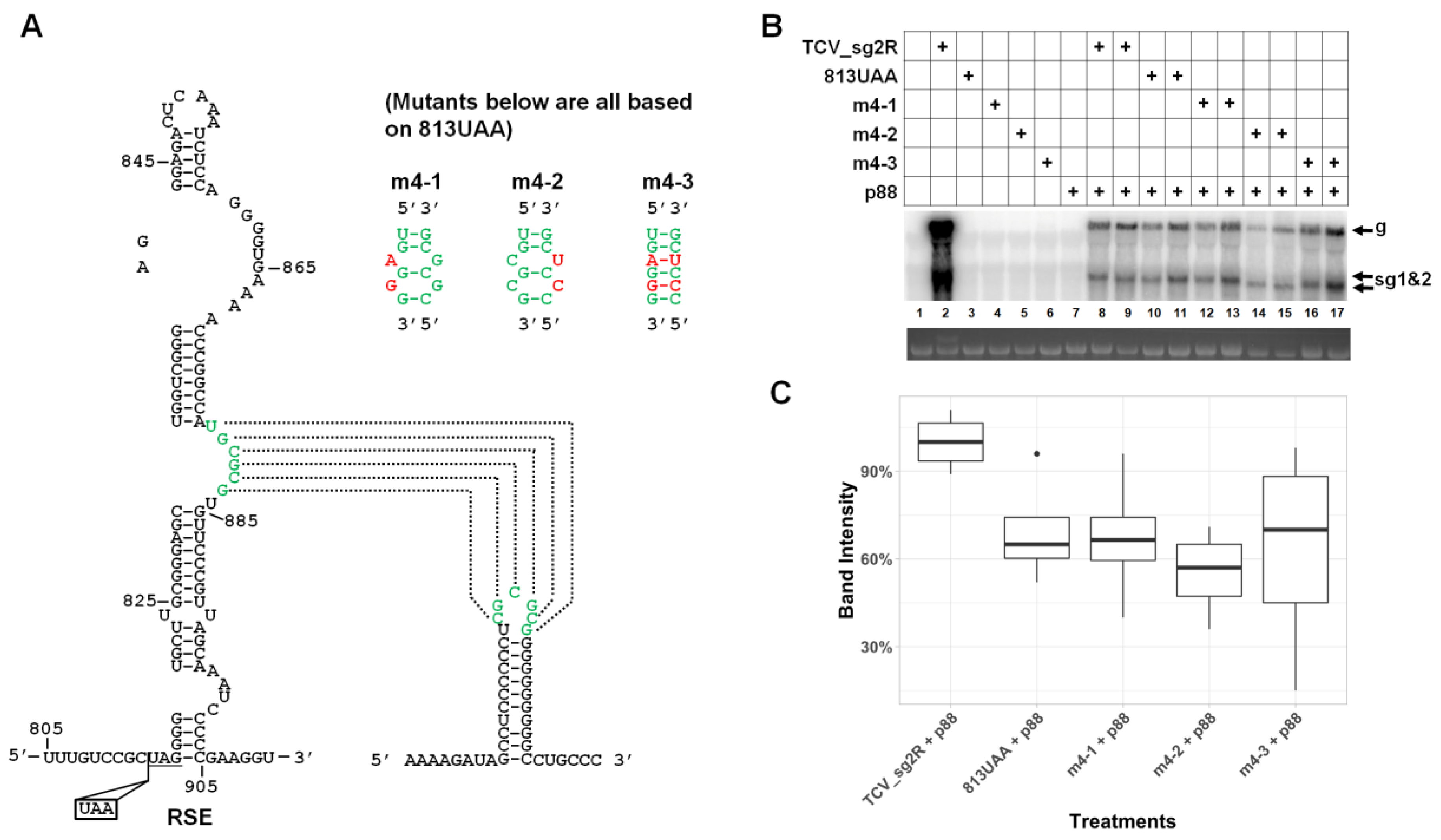 Viruses 12 00350 g004