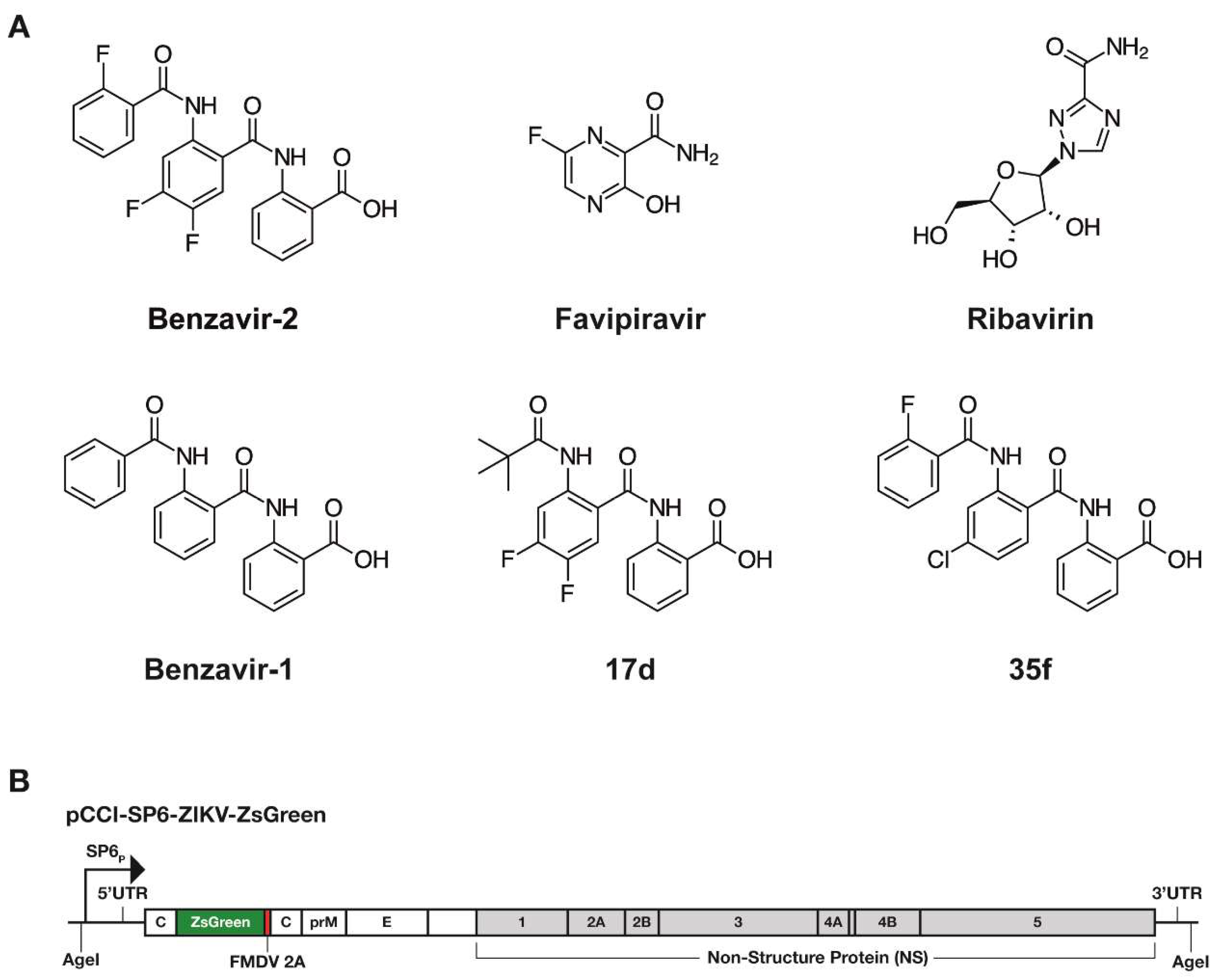 Viruses 12 00351 g001 Viruses 12 00351 g001