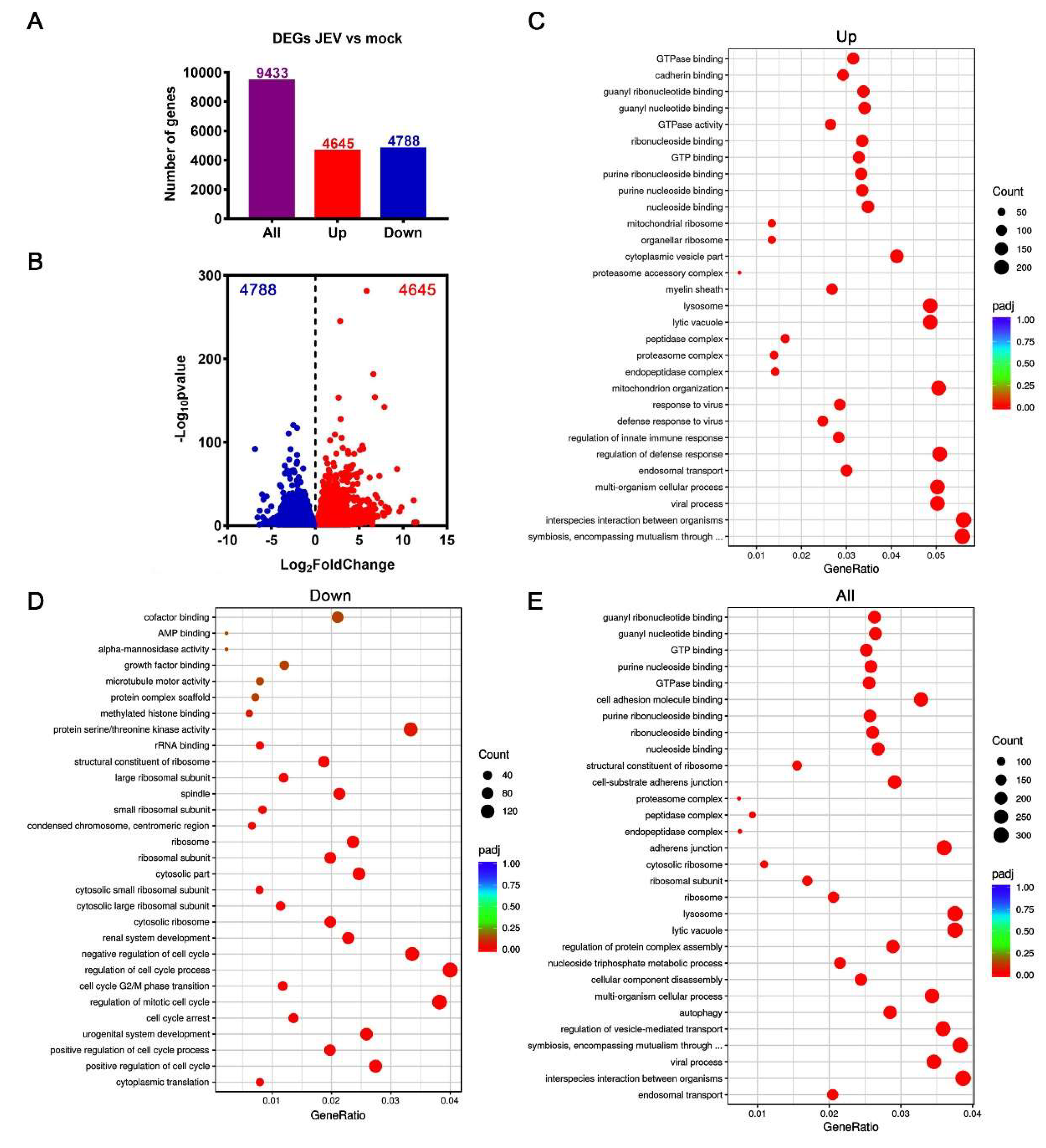 Viruses 12 00356 g003
