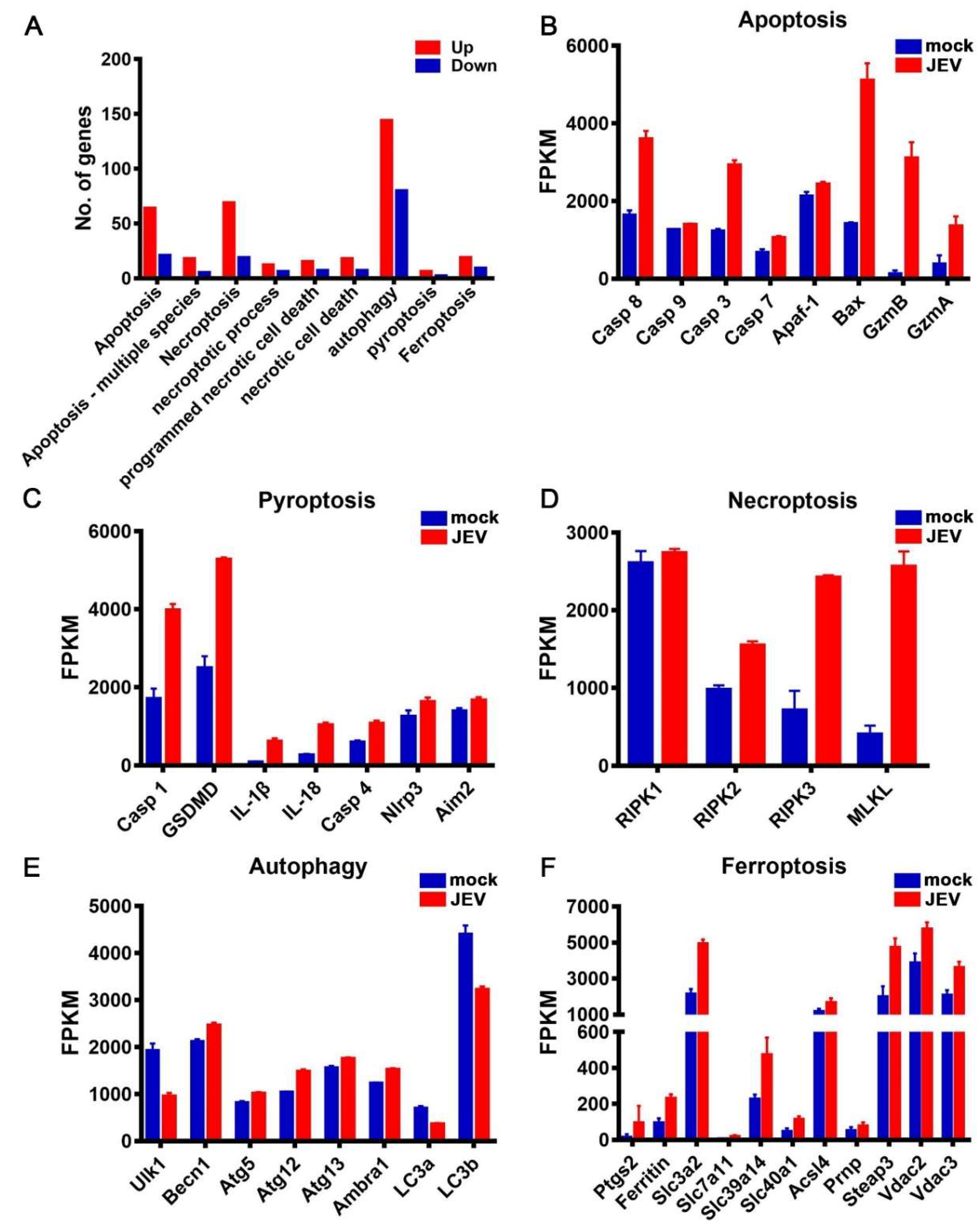 Viruses 12 00356 g006