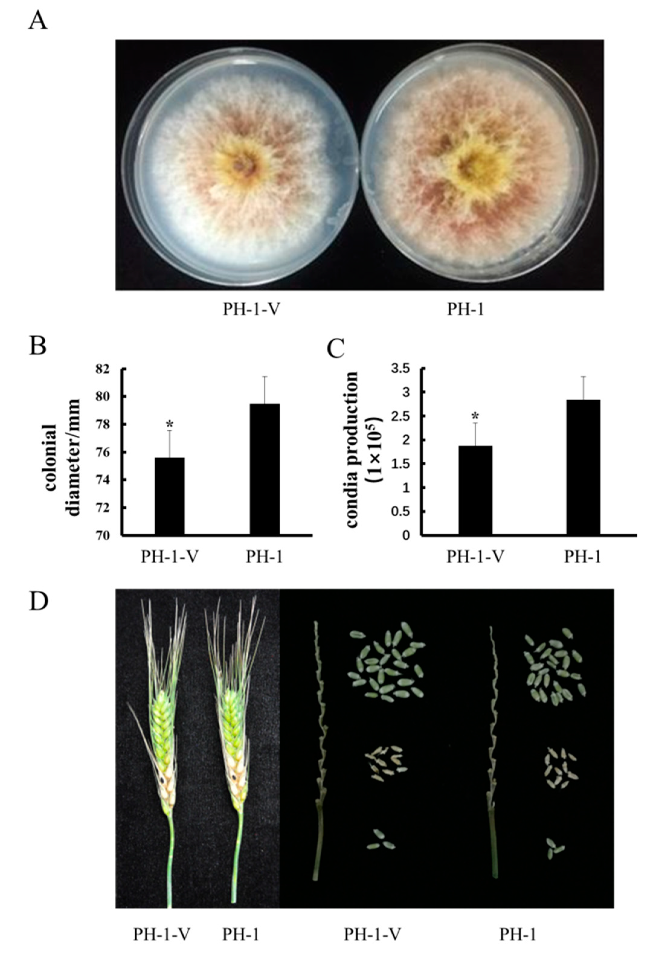Viruses 12 00357 g004