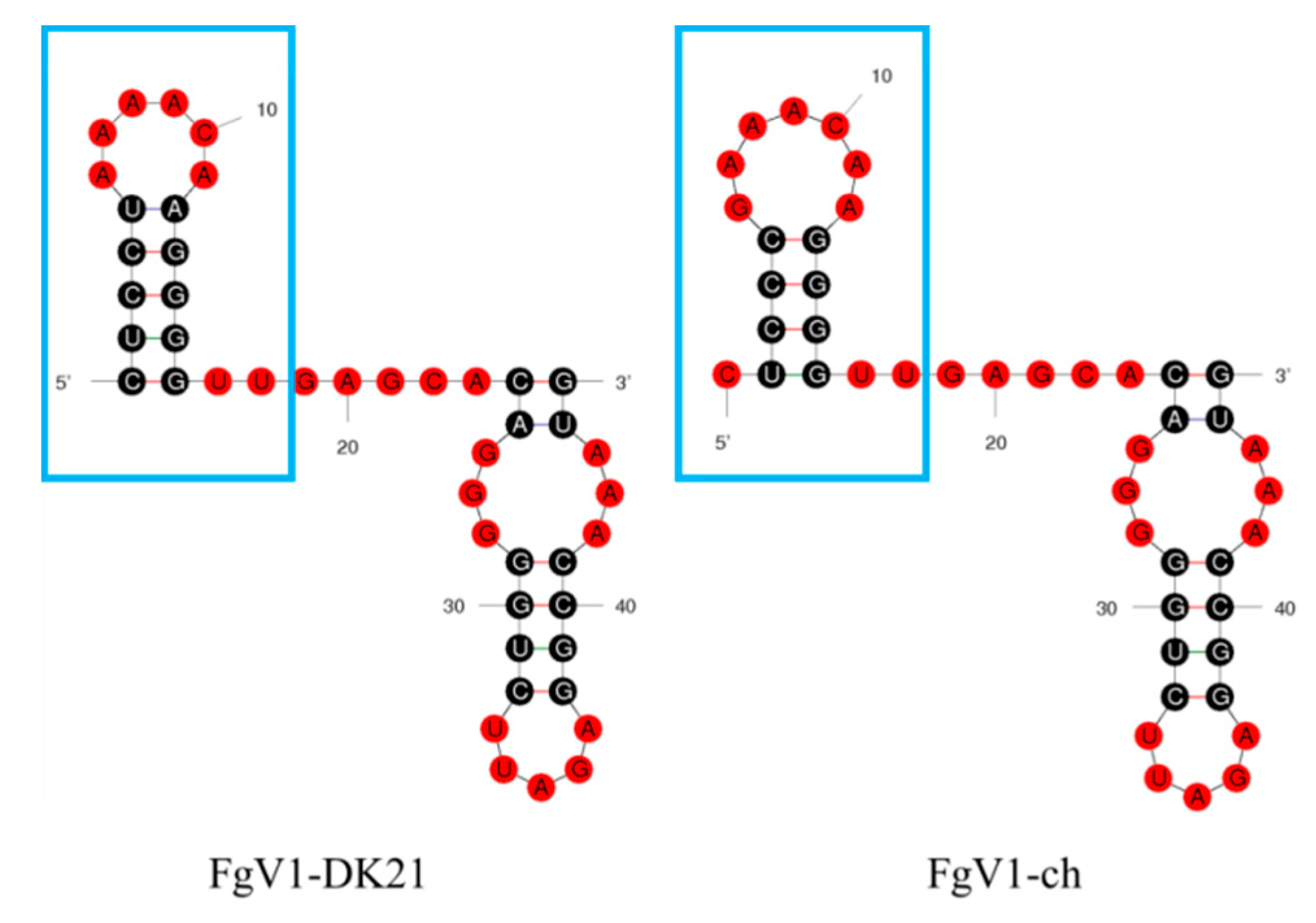 Viruses 12 00357 g005