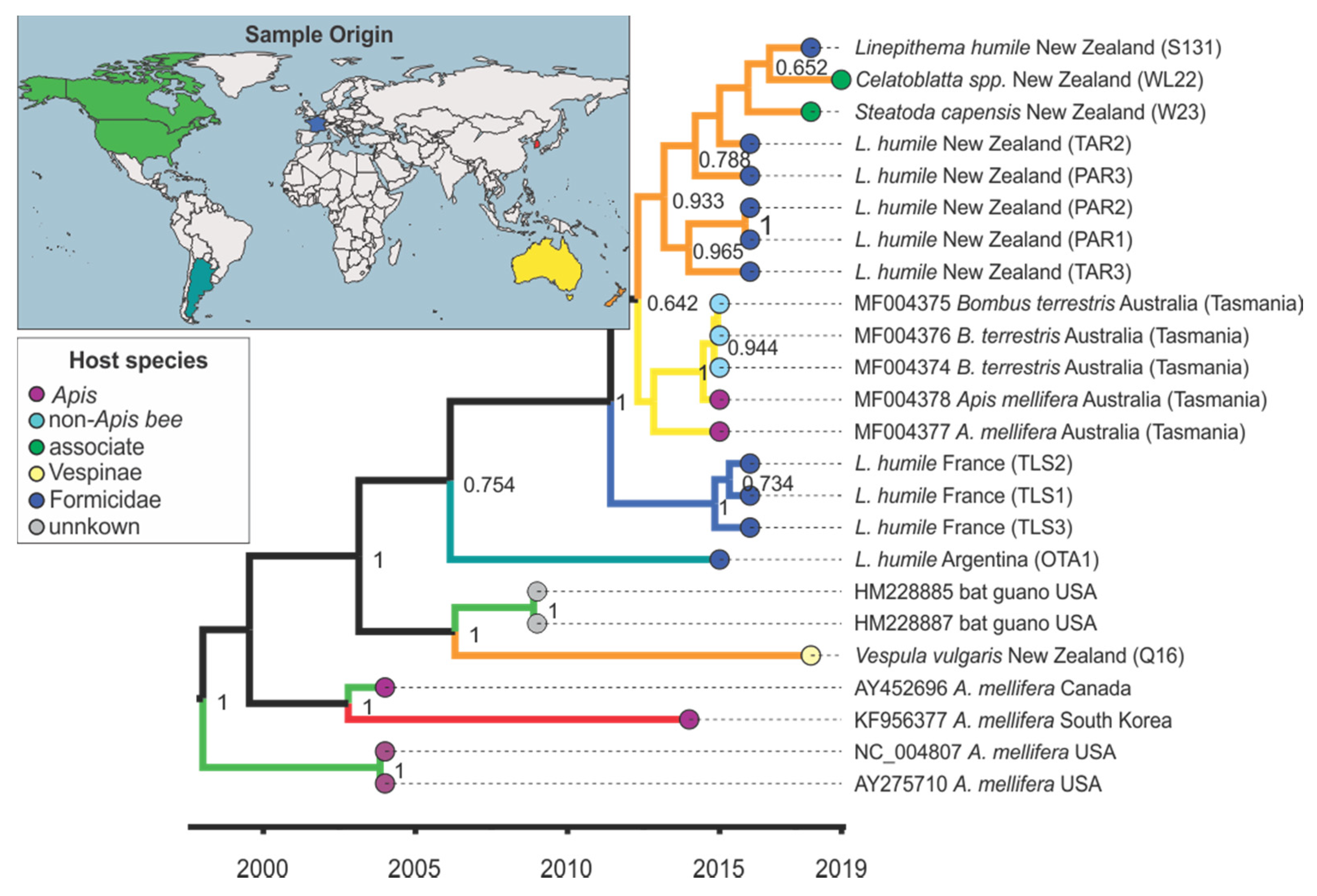 Viruses 12 00358 g003 Viruses 12 00358 g003