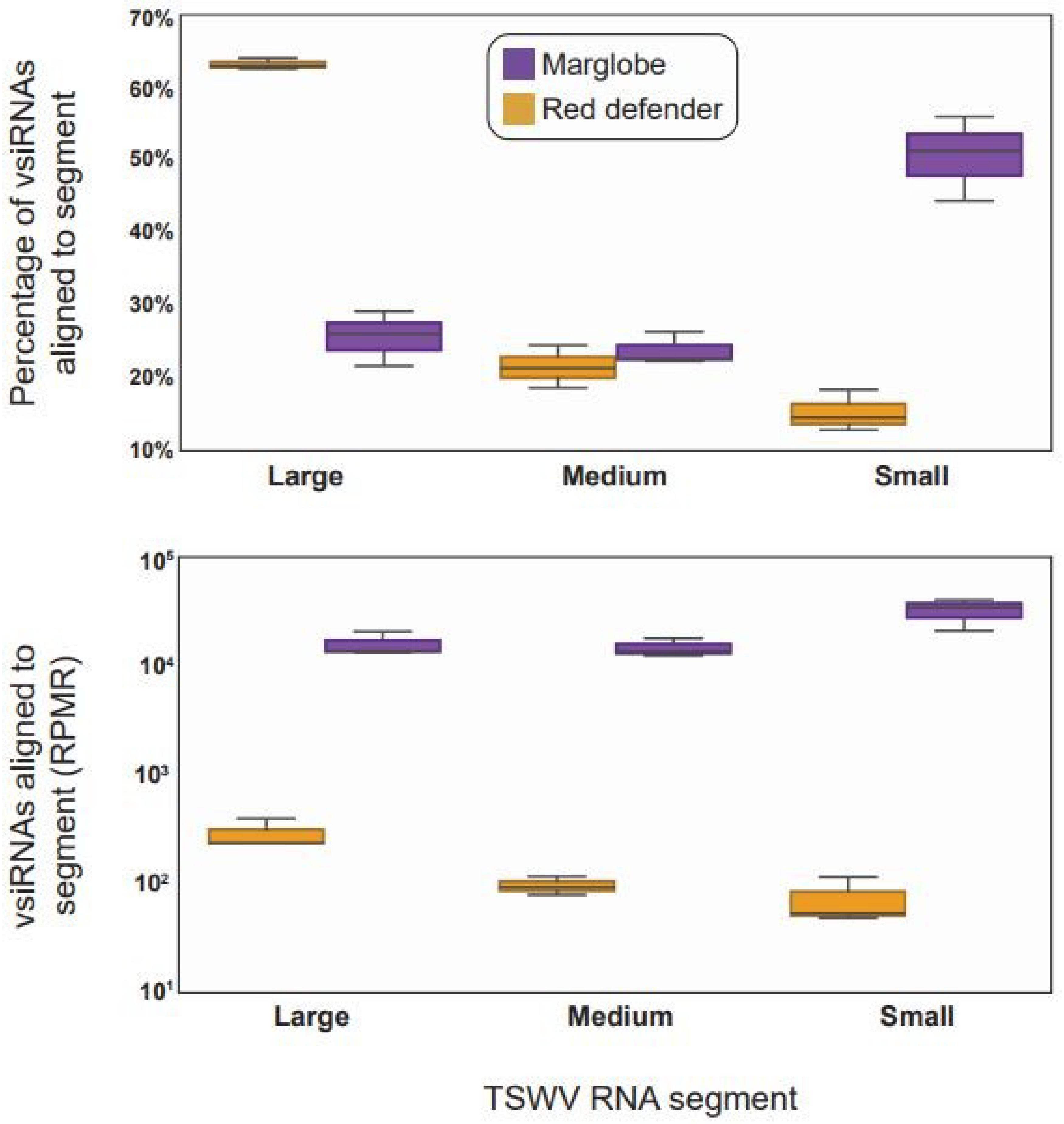 Viruses 12 00363 g004