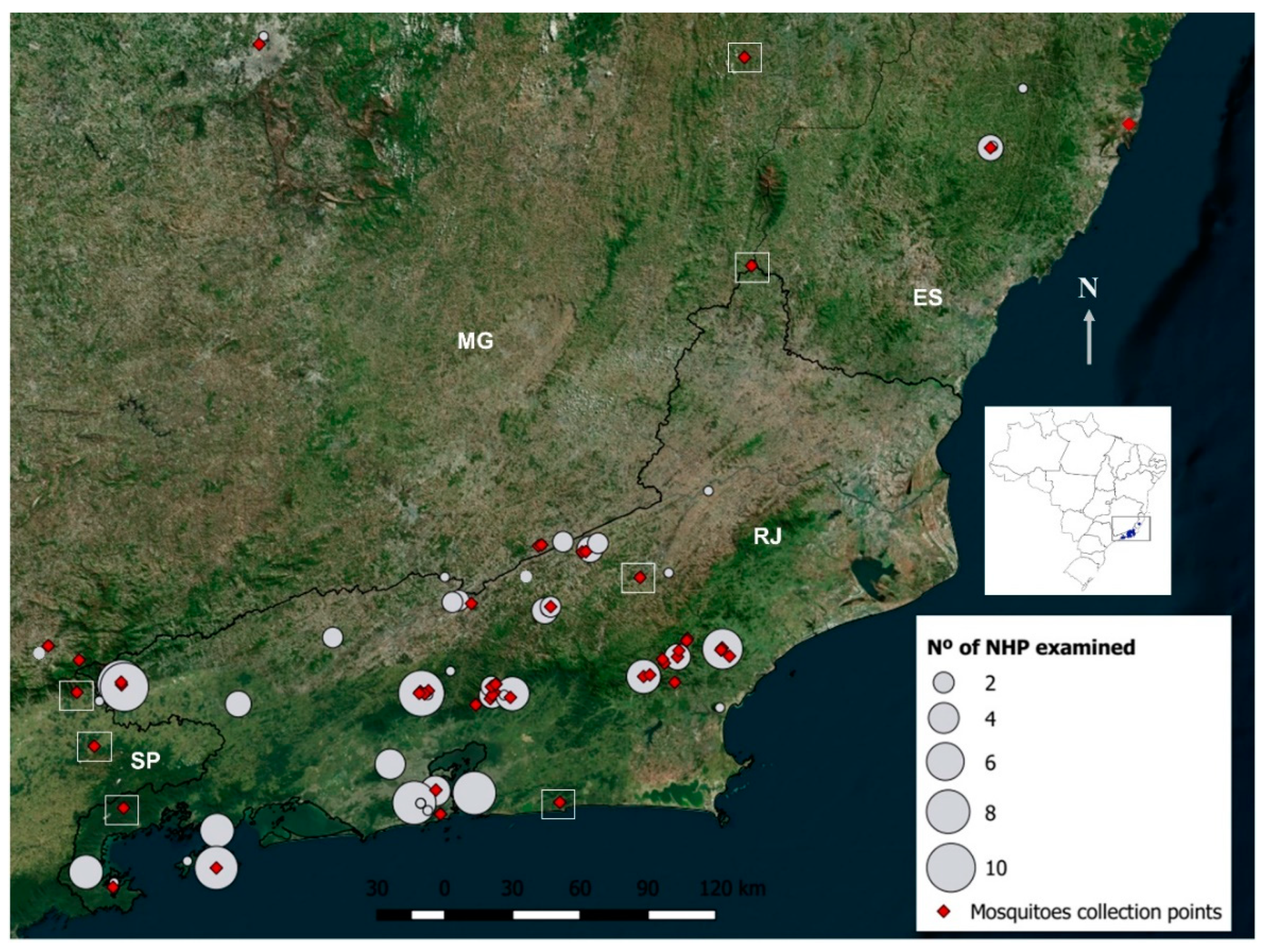 Viruses 12 00364 g002