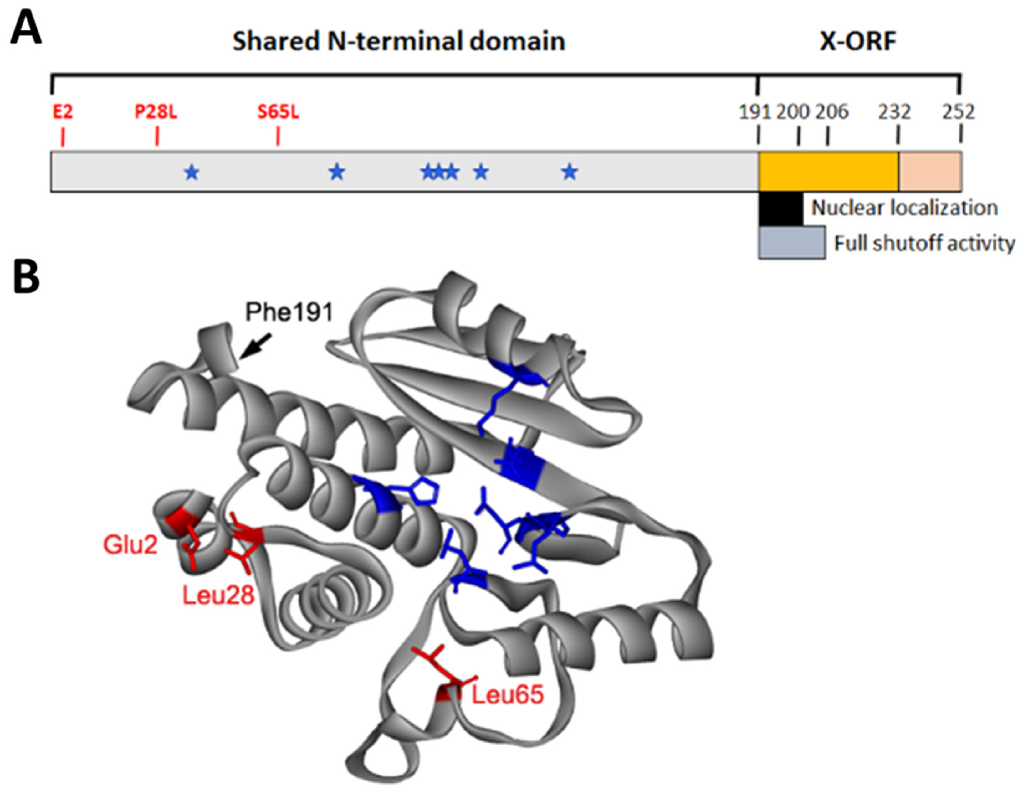 Viruses 12 00365 g002