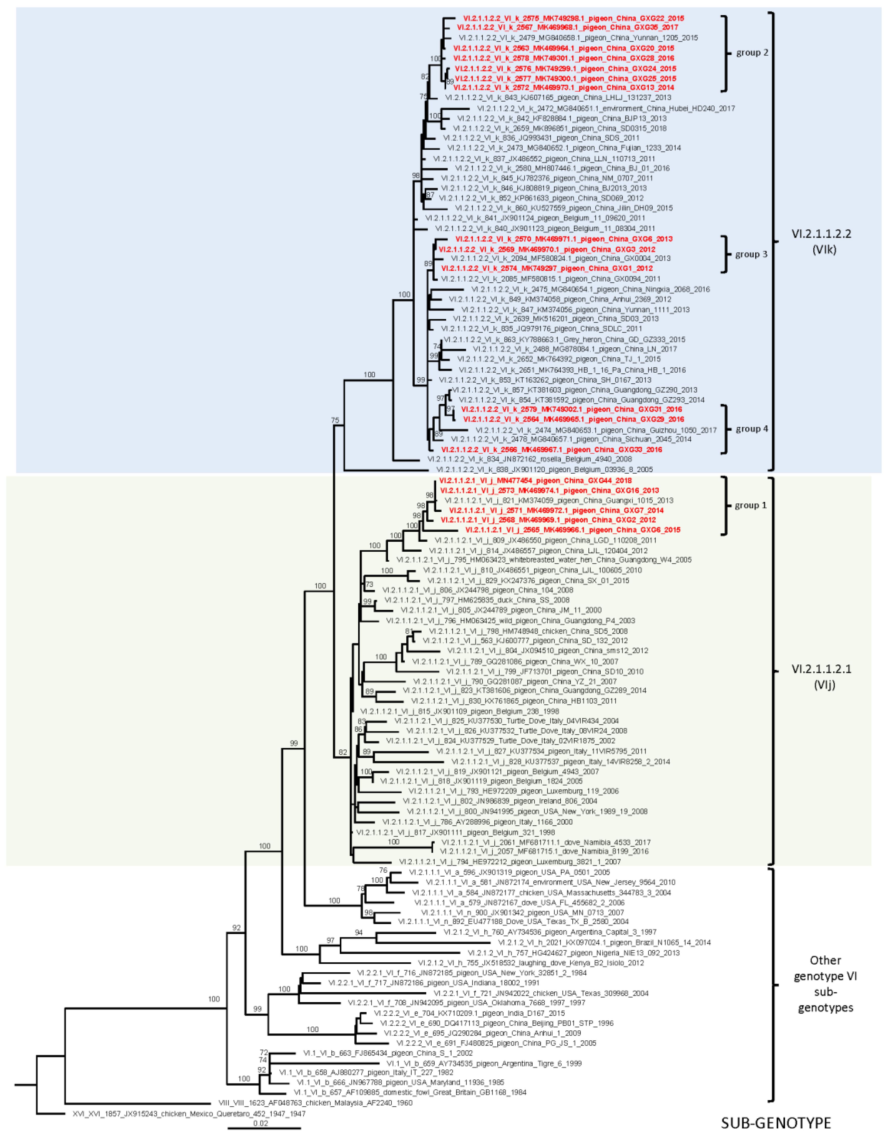 Viruses 12 00366 g001