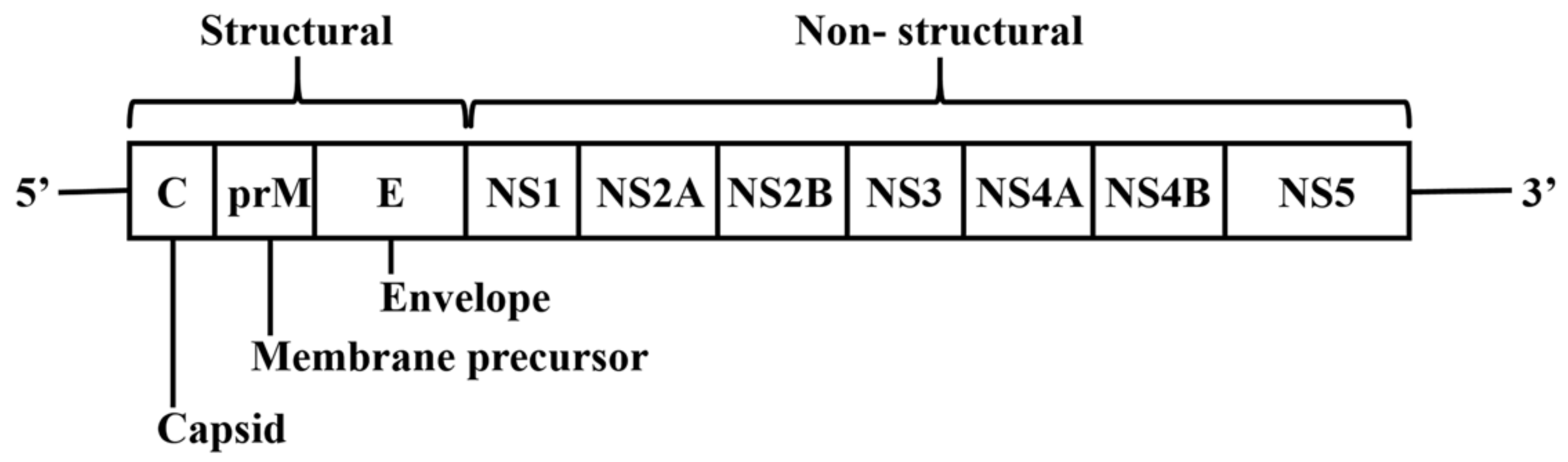 Viruses 12 00367 g001 Viruses 12 00367 g001