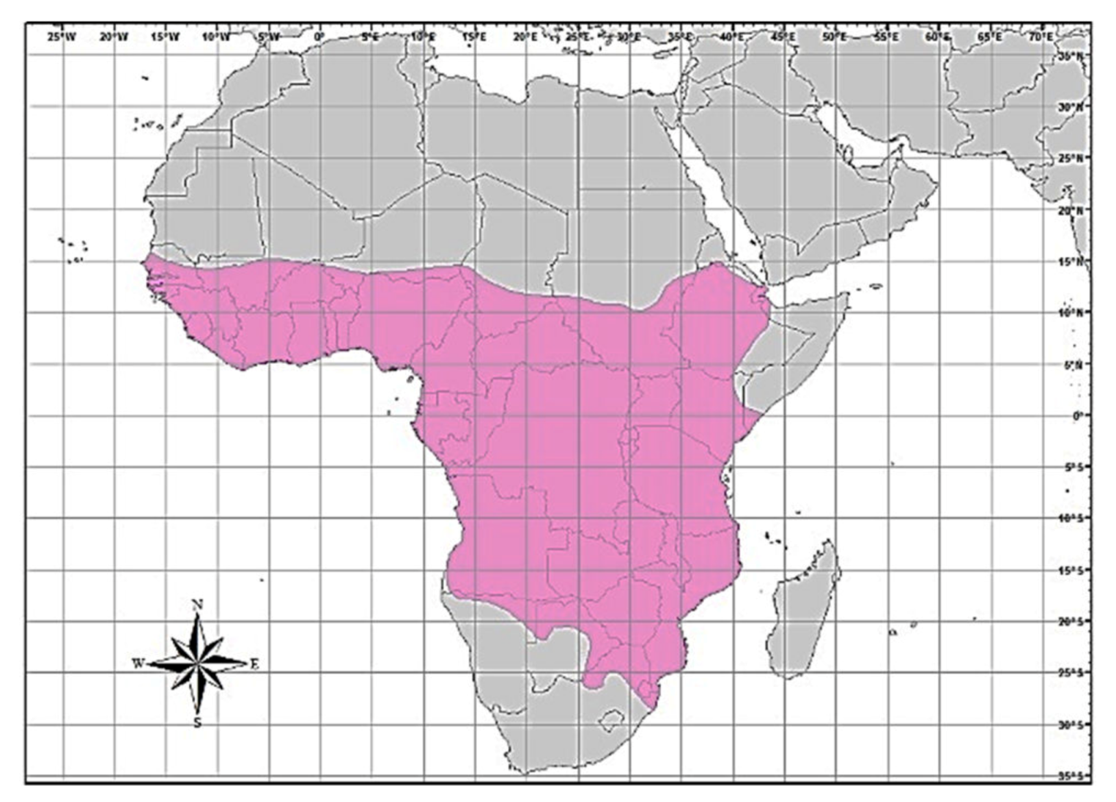 Viruses 12 00368 g001 Viruses 12 00368 g001