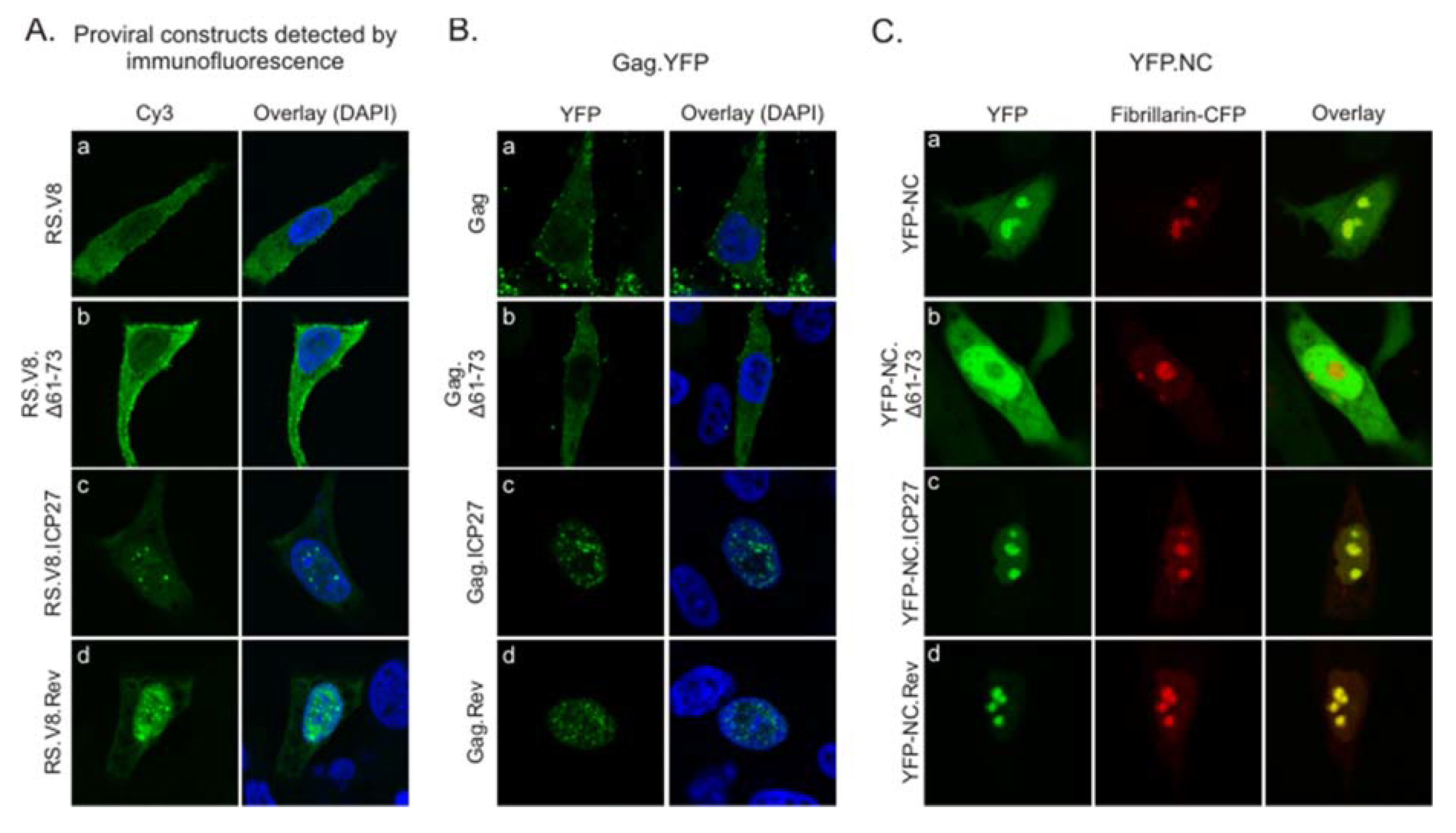 Viruses 12 00370 g002