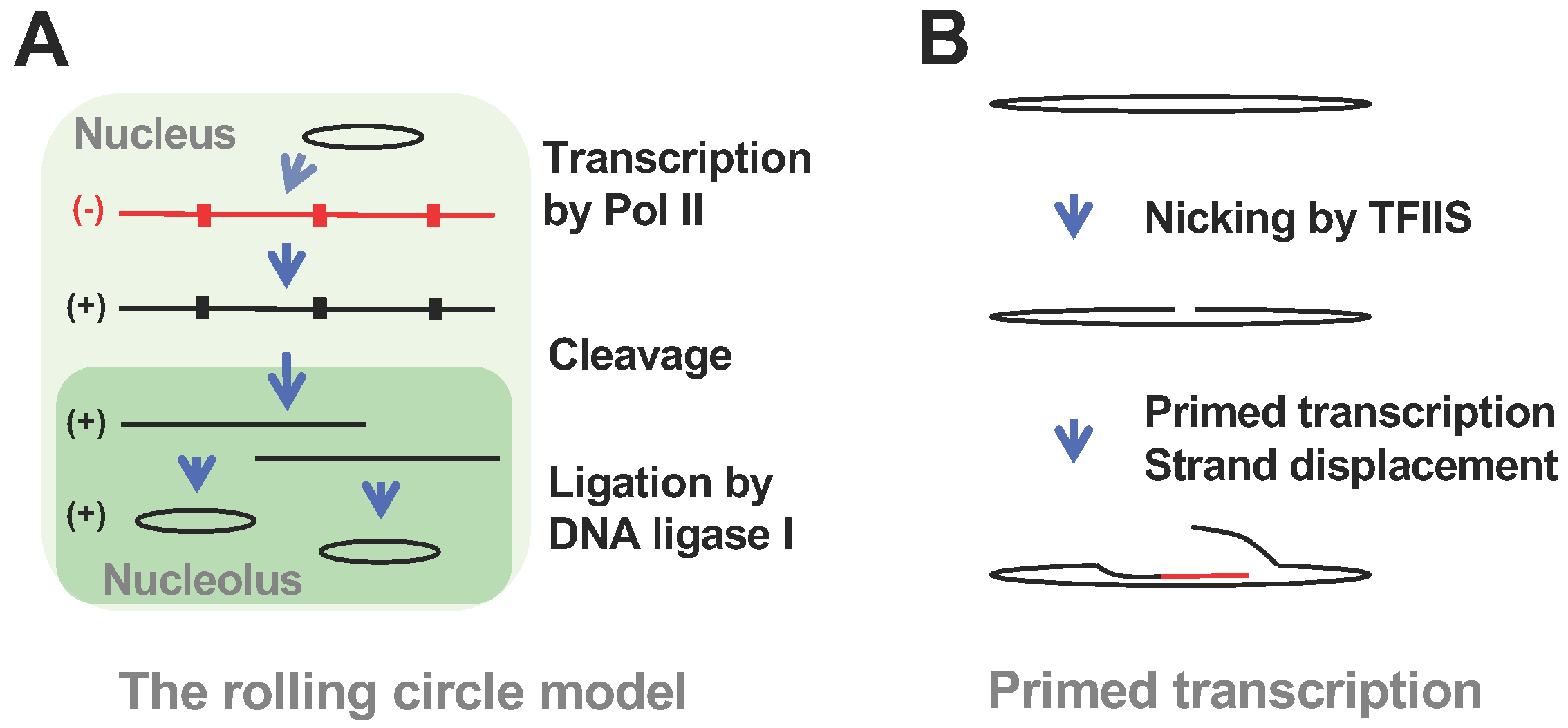 Viruses 12 00371 g003 Viruses 12 00371 g003