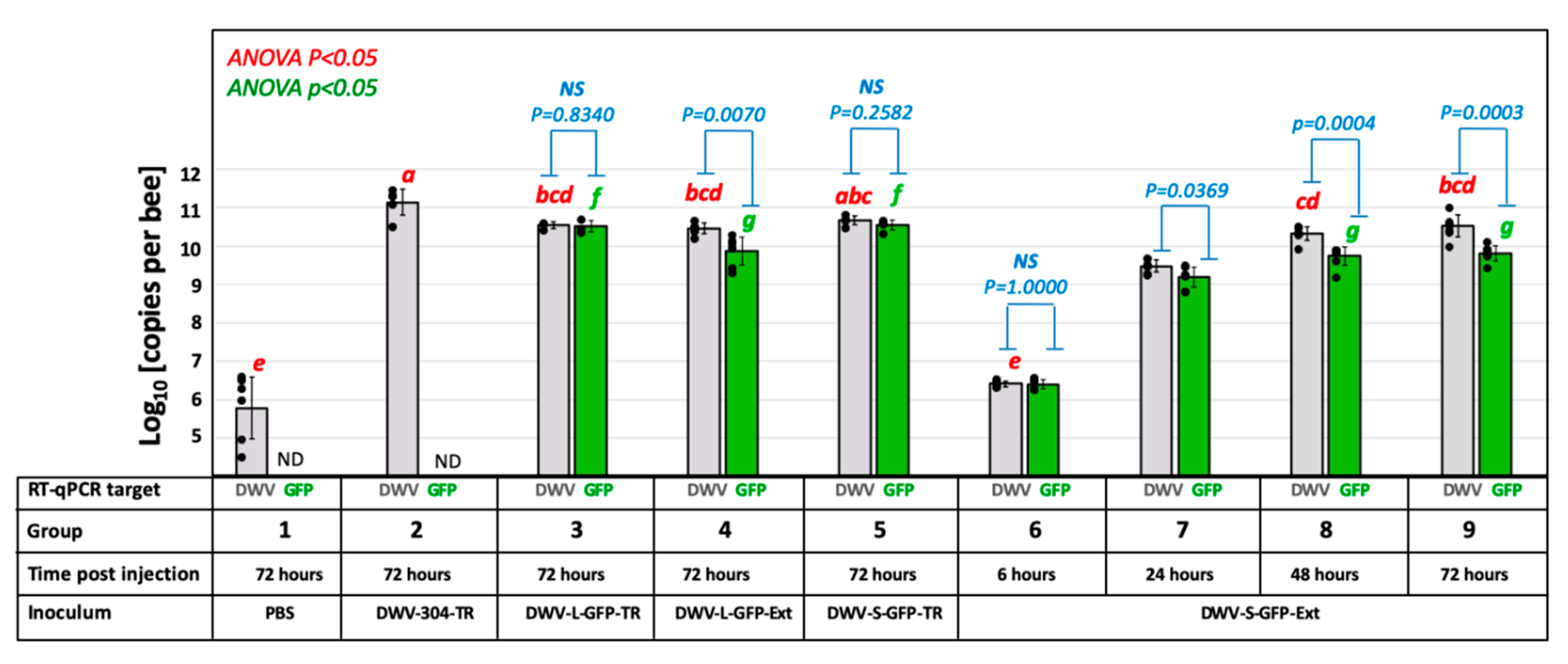 Viruses 12 00374 g002