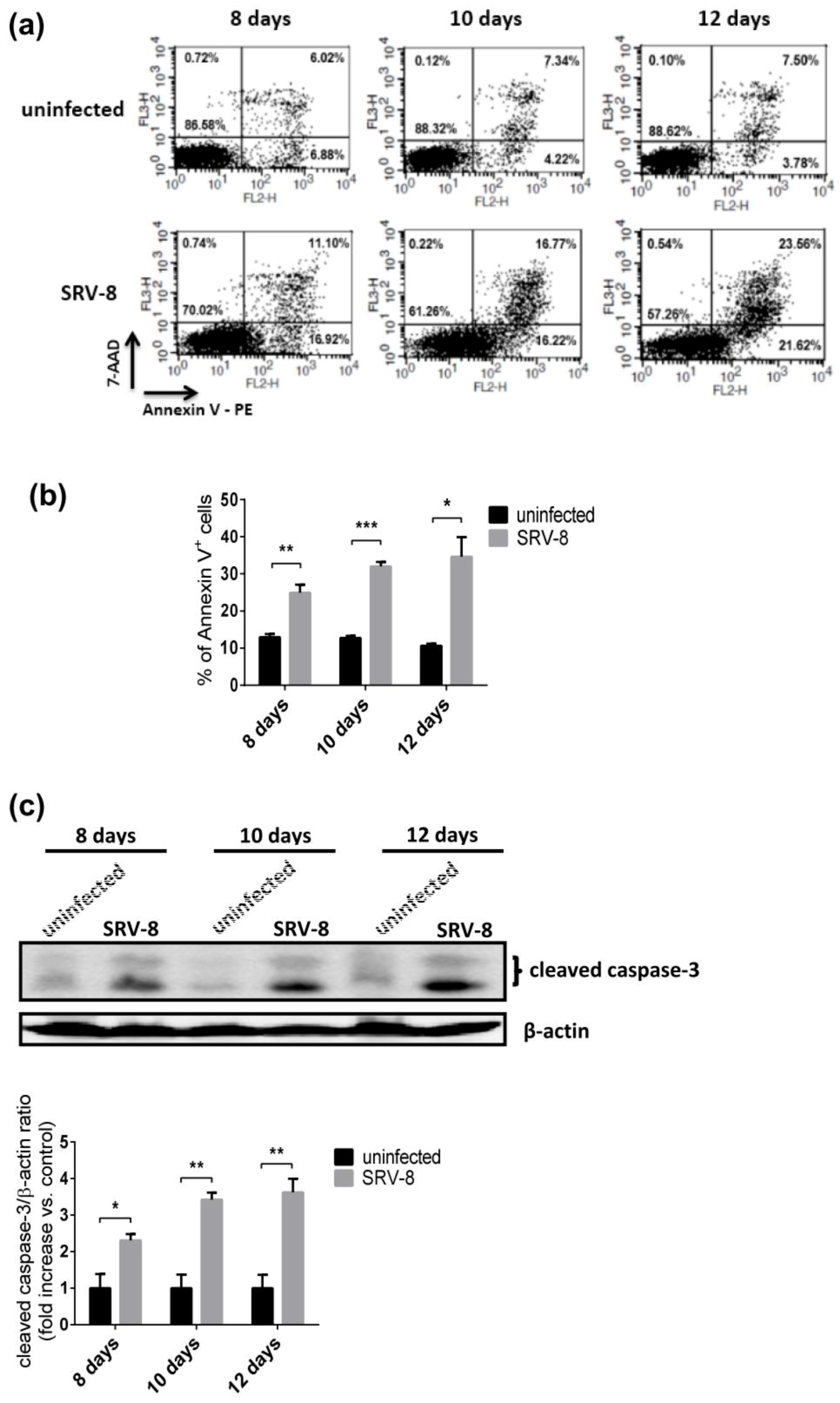 Viruses 12 00381 g003 Viruses 12 00381 g003