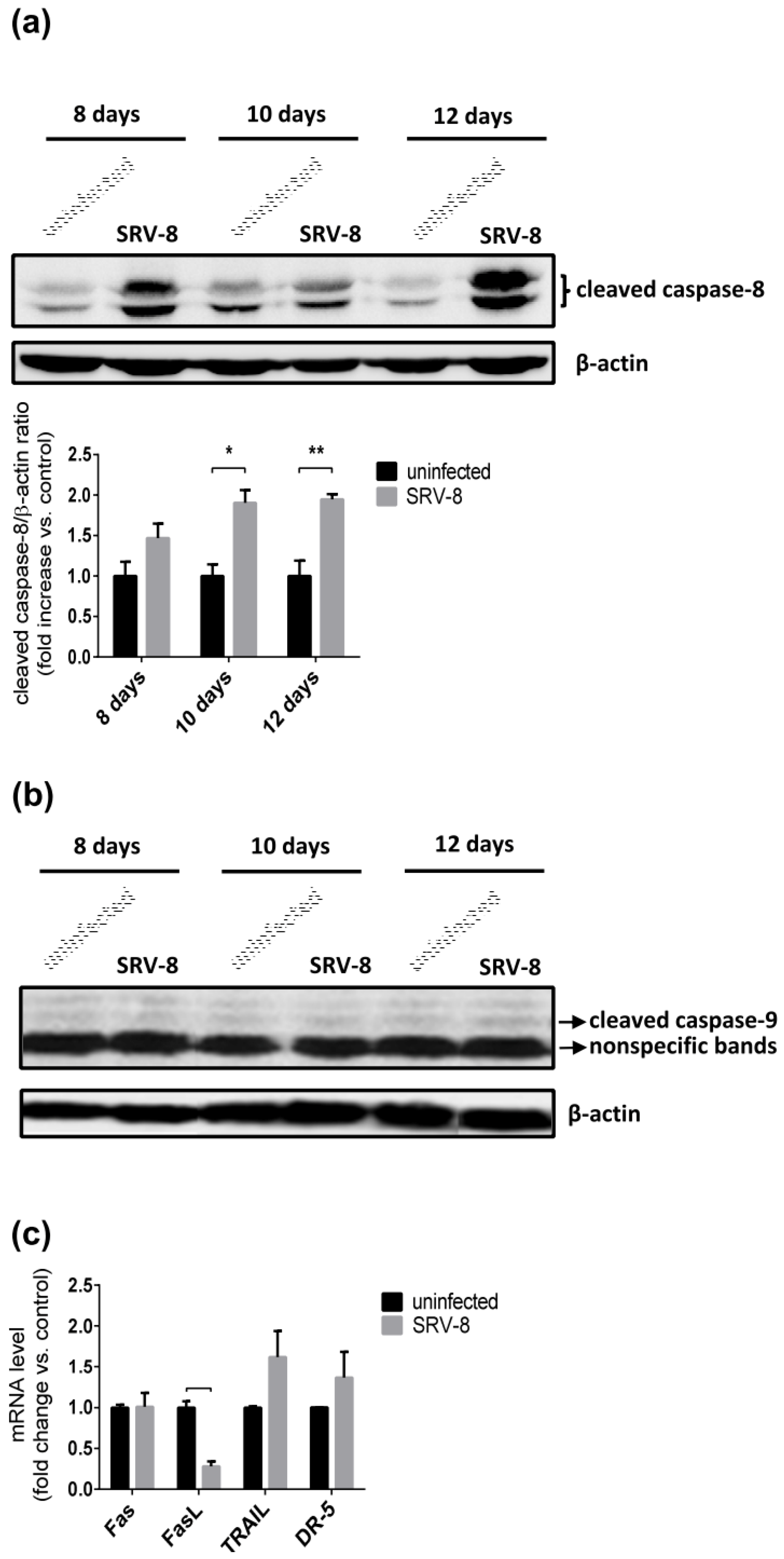 Viruses 12 00381 g004 Viruses 12 00381 g004