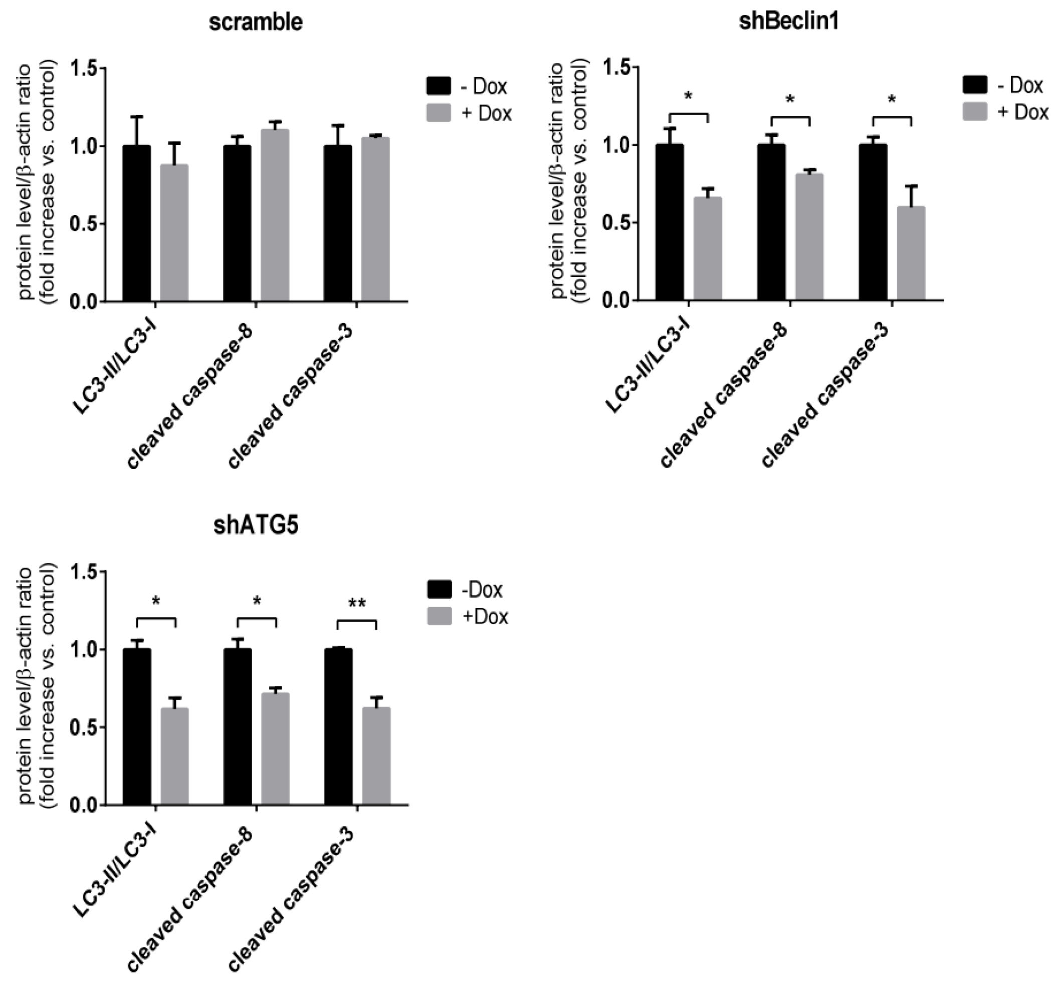 Viruses 12 00381 g005b Viruses 12 00381 g005b